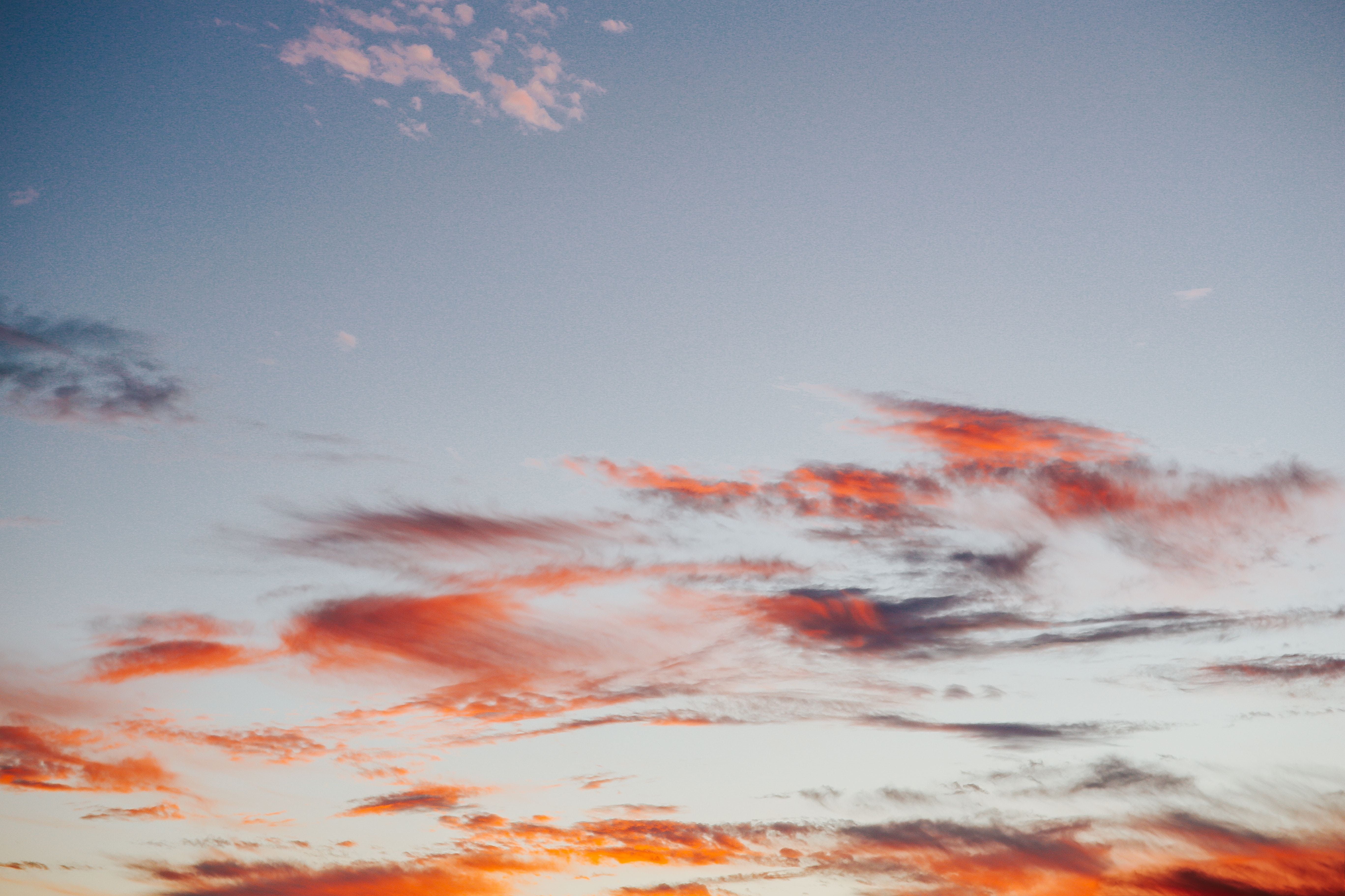 5K, orange Color, meteorology, dusk, idyllic, trees, weather, beauty In Nature, summer, day, outdoors, color Image, scenics - nature, cloud - Sky, red, HD Wallpaper