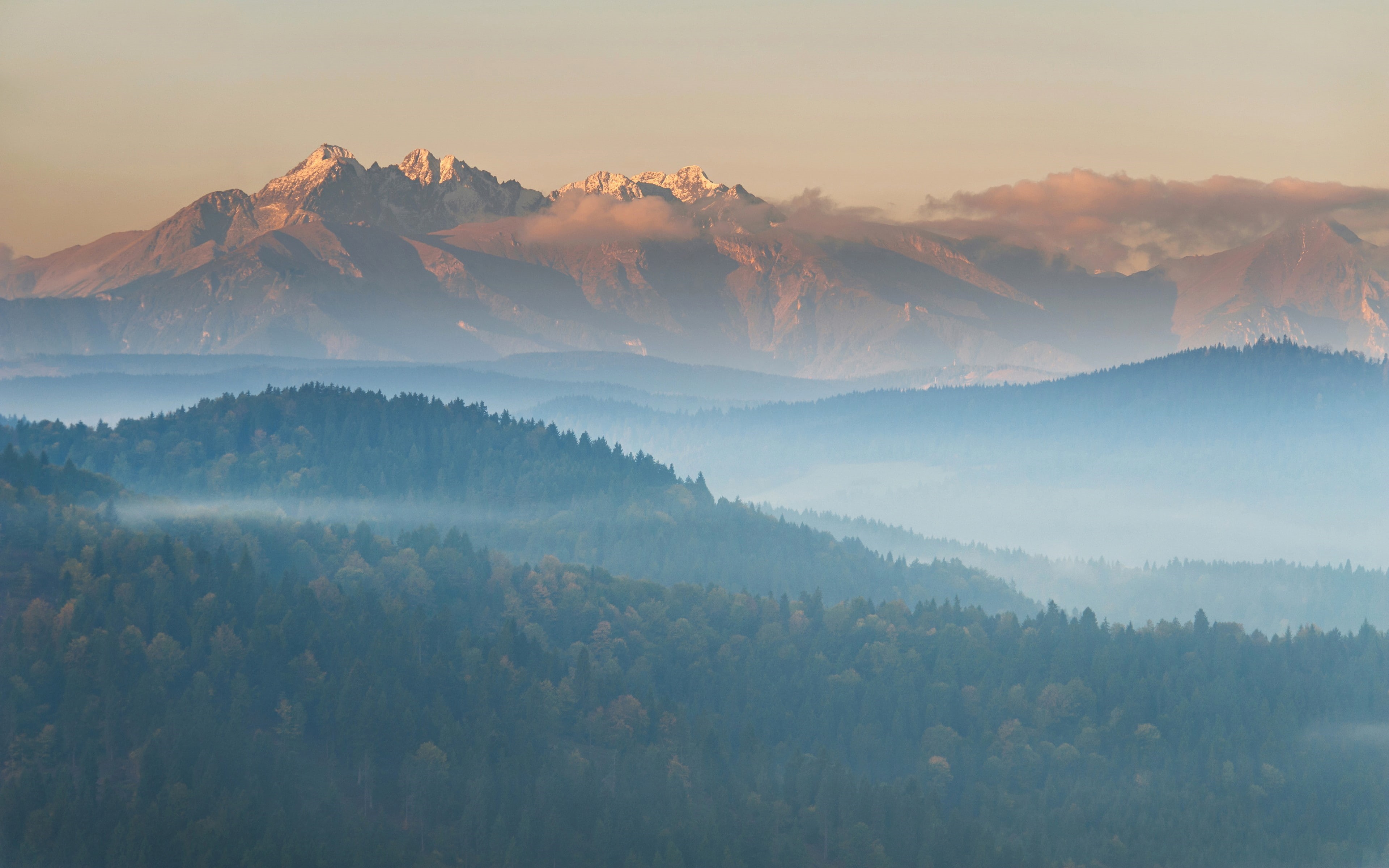 mist, forest, 4K, mountains, sunset, HD Wallpaper