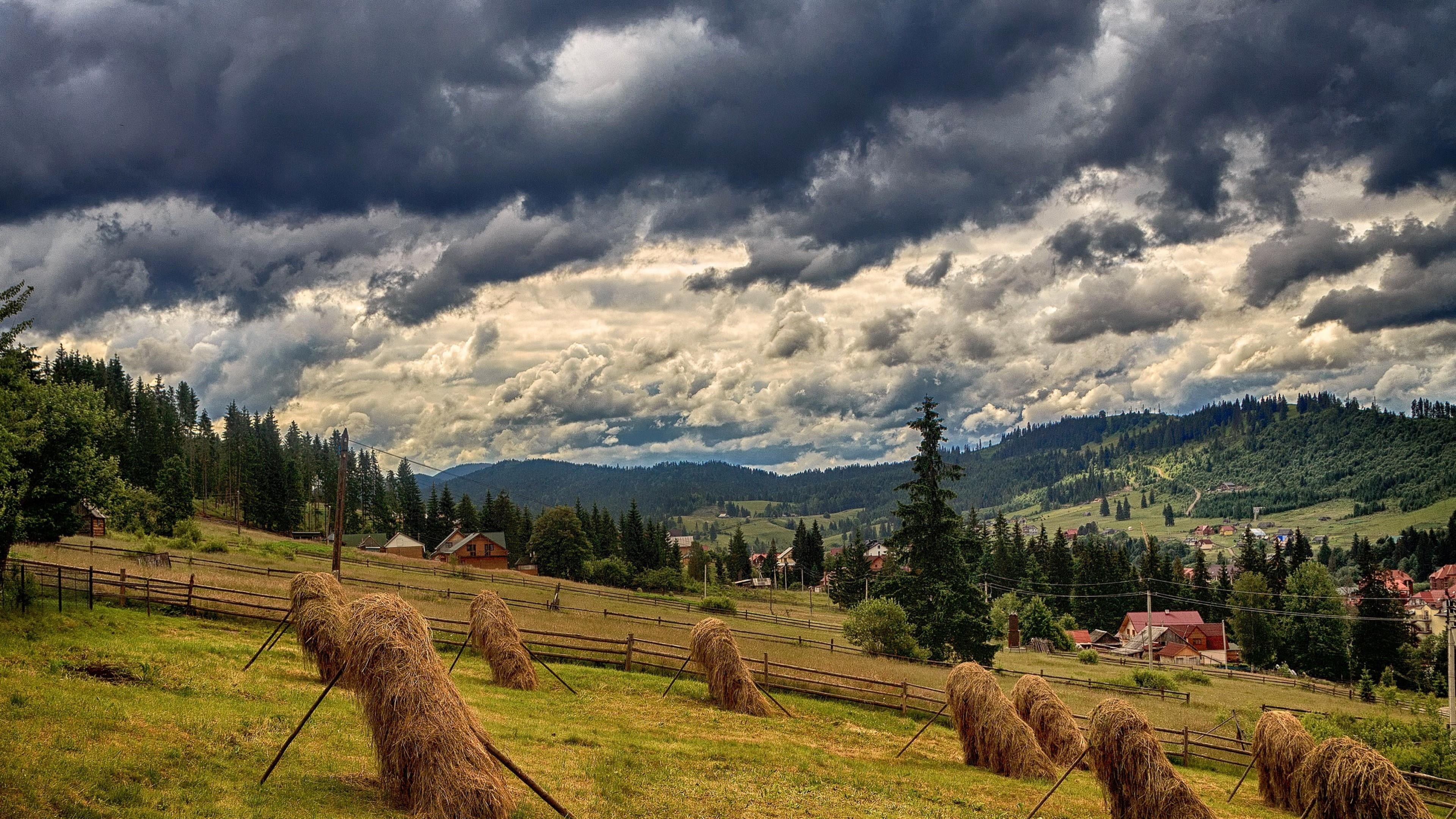 plant, carpathians, carpathian mountains, ukraine, cloud, dramatic sky, hill, field, bukovel, tranquility, no people, cloud - sky, grassland, scenics - nature, HD Wallpaper