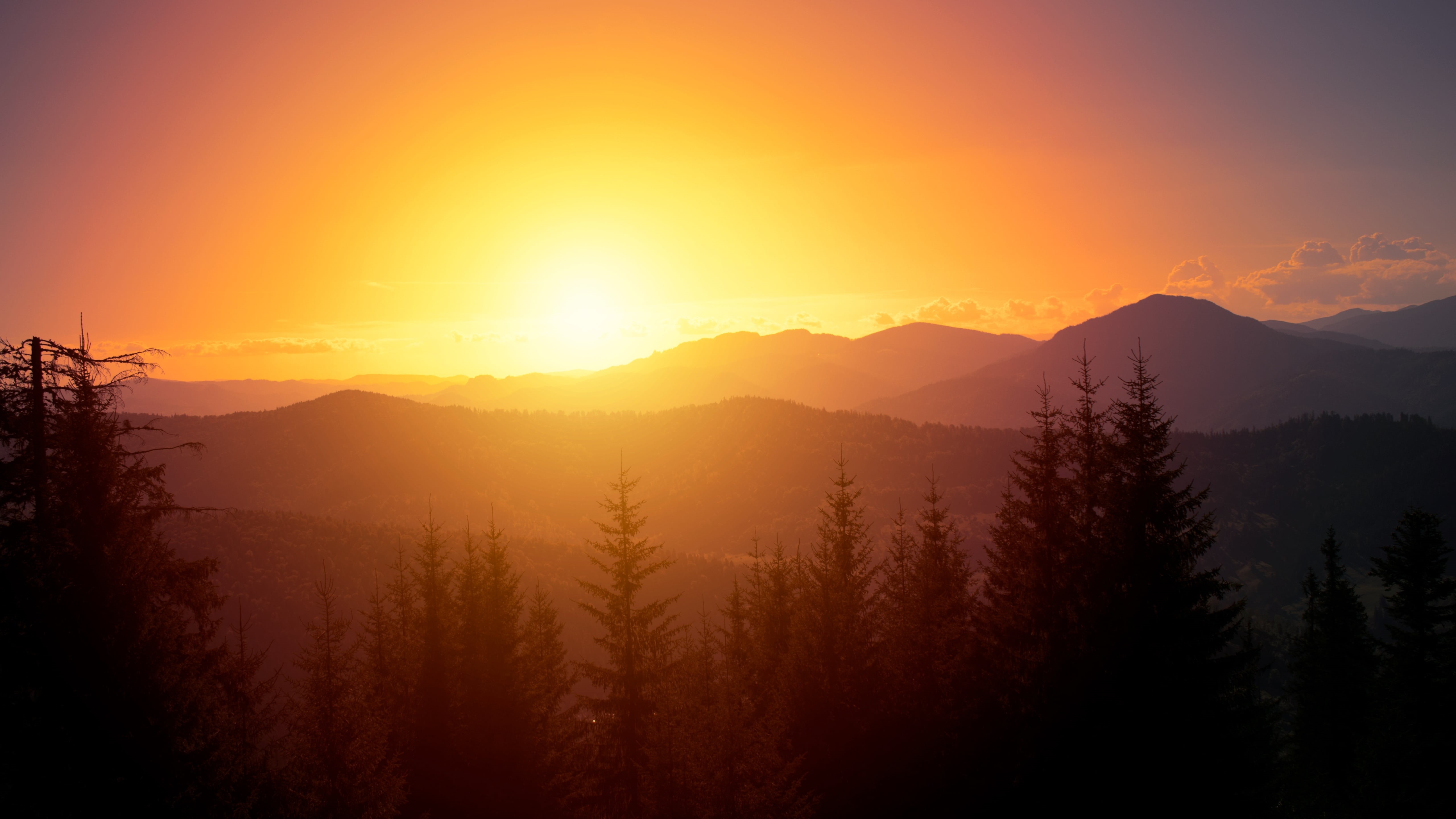 sun, national park, hunedoara, pine forest, dawn, mountain, red sky, tranquility, beauty in nature, tree, retezat national park, romania, landscape, tranquil scene, HD Wallpaper