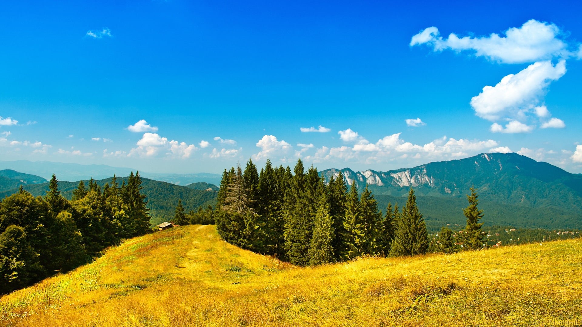 1080P, hill, idyllic, hiking, panoramic, summer, tranquil Scene, clearly, dolomites, sunlight, woodland, beauty In Nature, european Alps, mountain Peak, HD Wallpaper