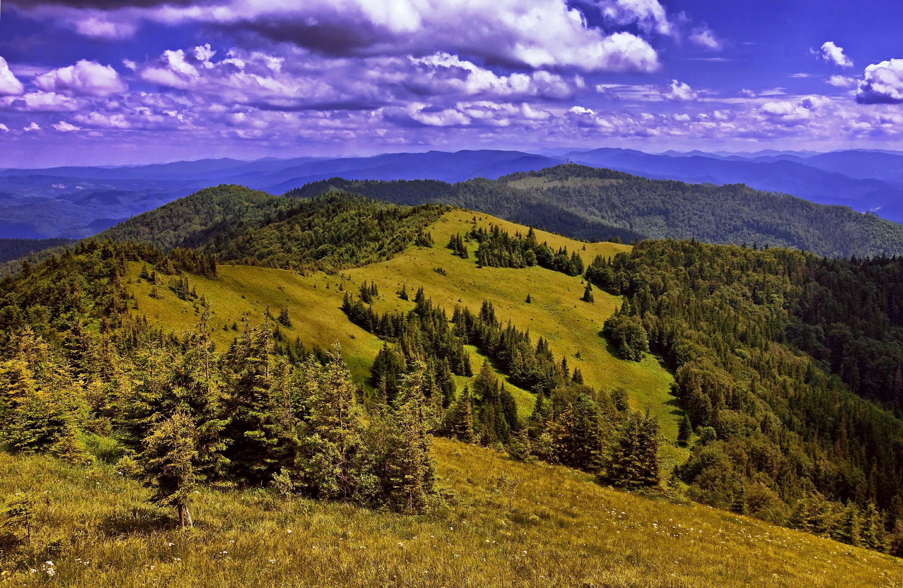 mountain Peak, tranquil Scene, land, mountain, rolling landscape, sky, growth, autumn, carpathian Mountain Range, blue, green Color, meadow, rural Scene, HD Wallpaper
