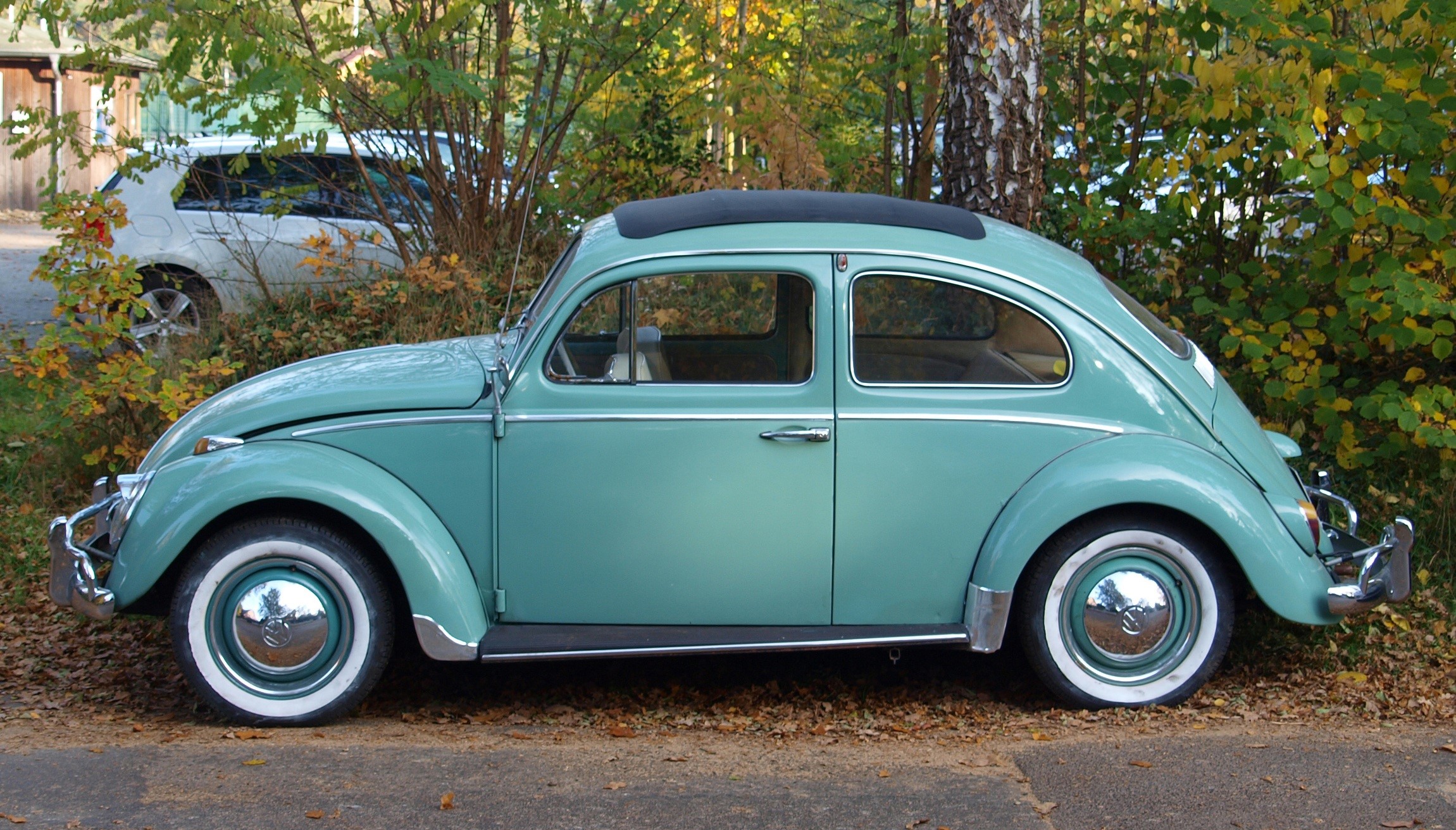 metal, outdoors, mode of transportation, treee, near, beetle, vw beetle, day, nature, no people, motor vehicle, vw, automotive, volkswagen, retro styled, HD Wallpaper