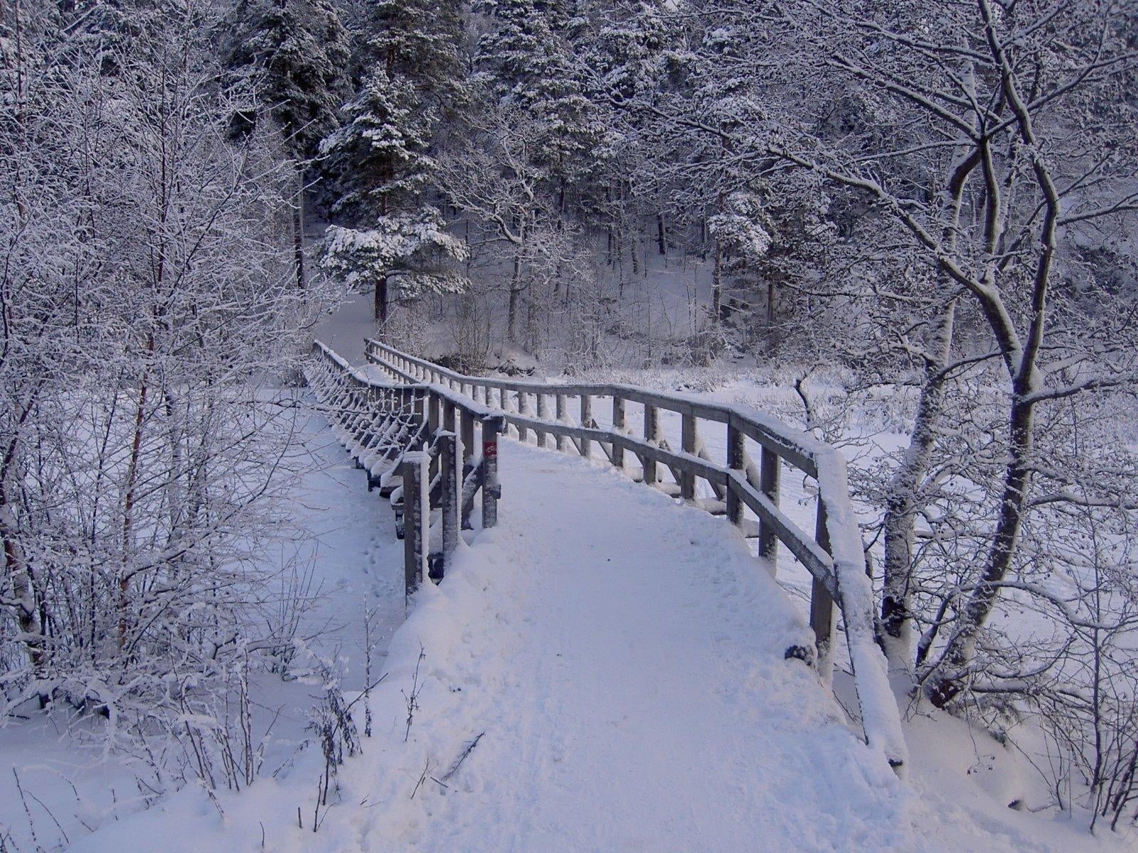 weather, non-Urban Scene, architecture, woodland, cold - Temperature, park - Man Made Space, nature, snow, street, road, extreme weather, scenics, landscape, HD Wallpaper