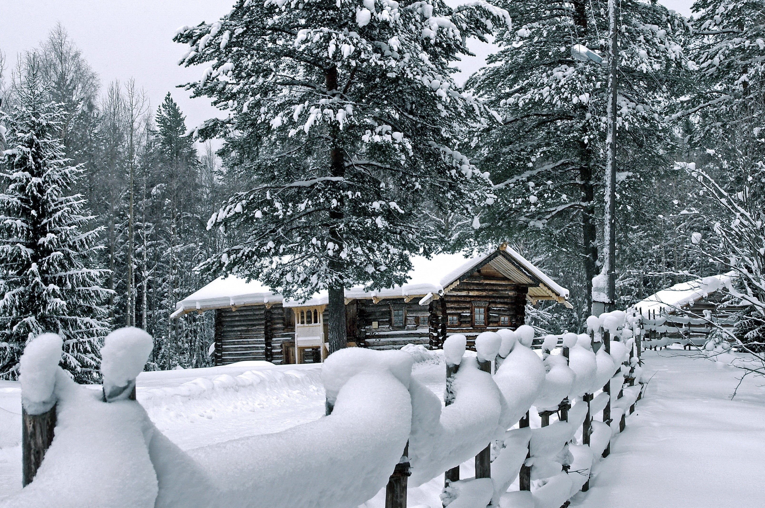 winter, tranquil Scene, land, white color, cottage, season, outdoors, snowdrifts, forest, construction, woodland, non-Urban Scene, fence, powder snow, scenics, HD Wallpaper