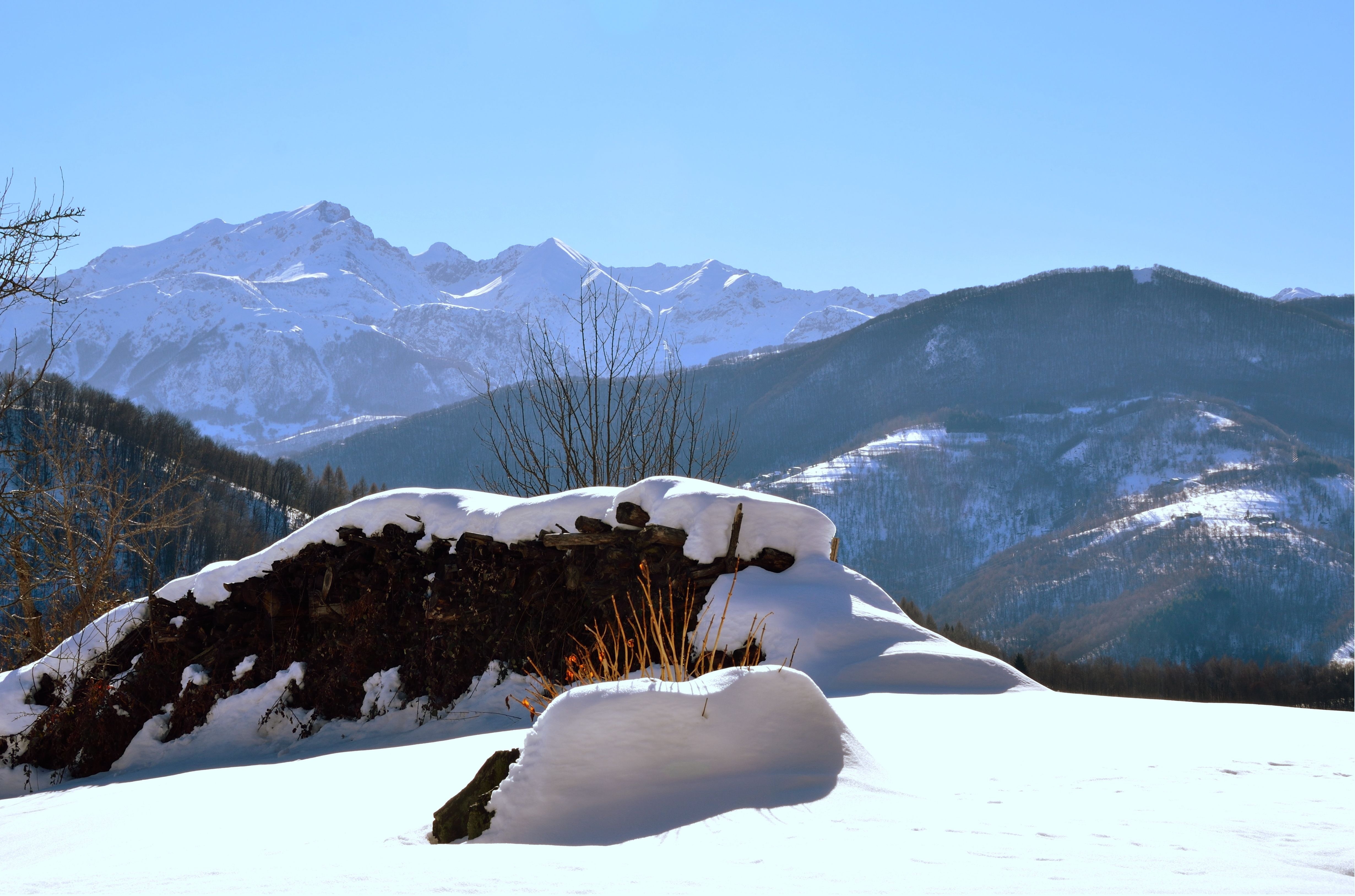 white, snowdrifts, ice, clear sky, mountain, europe, tree, mountain Peak, european Alps, environment, forest, beauty In Nature, frozen, 4K, clearly, black, HD Wallpaper