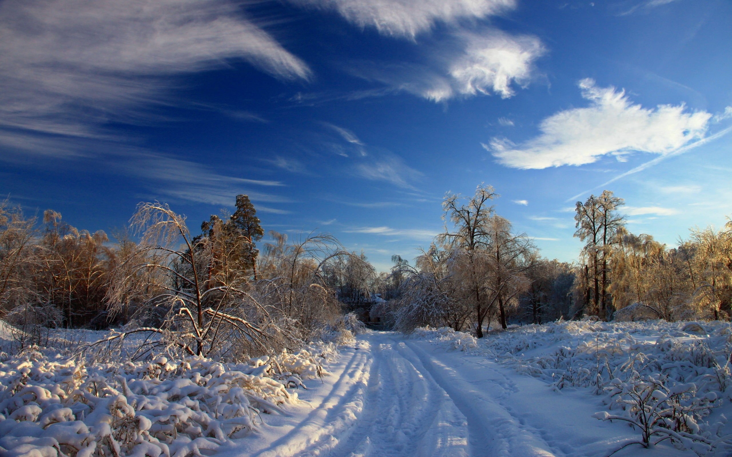 rural Scene, cold - Temperature, road, sunlight, tree, scenics, sun, nature, snow, scenics - nature, beauty In Nature, snowy, landscape, traces, winter, HD Wallpaper