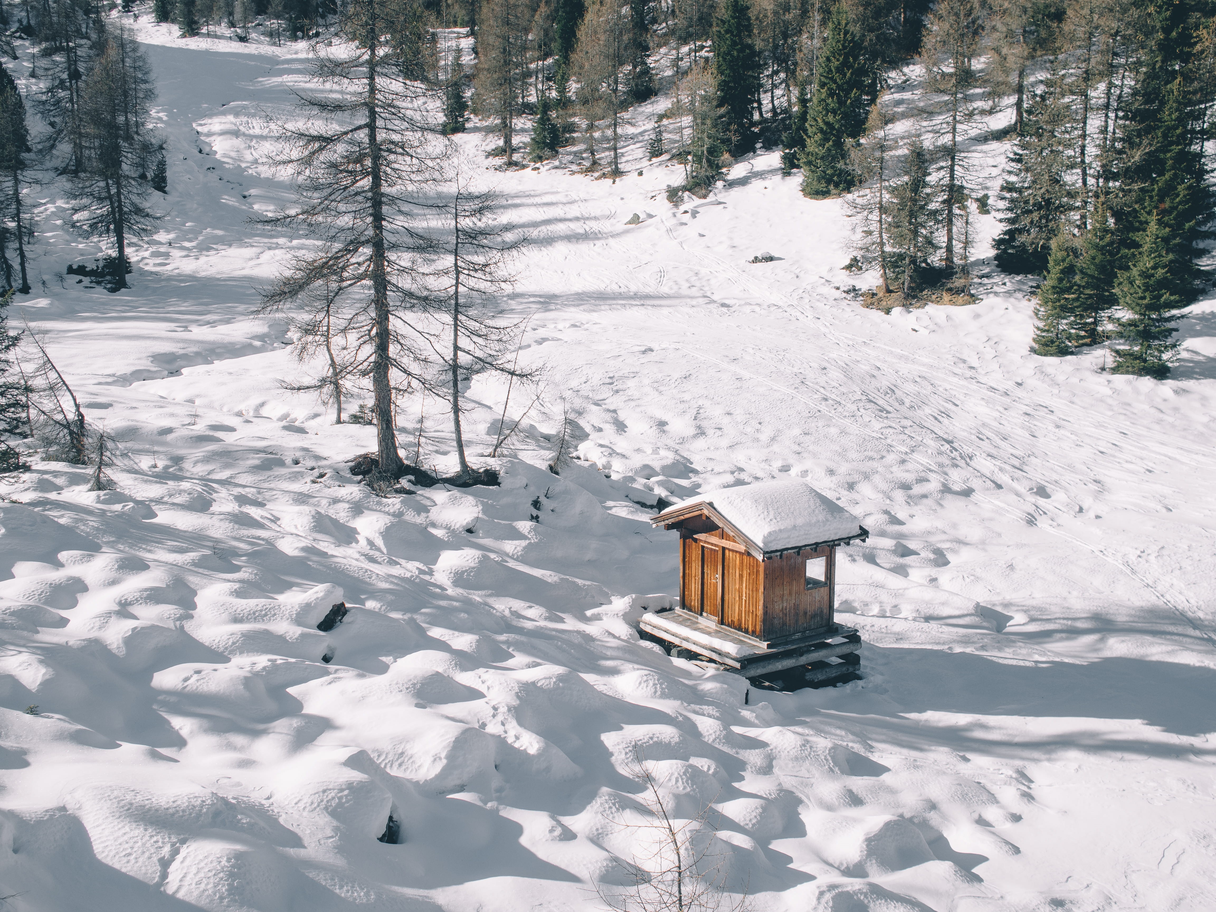 land, no people, snow, ice, covering, forest, plant, mountain, white color, cold temperature, frozen, resort, frost, field, chalet, snowcapped mountain, HD Wallpaper