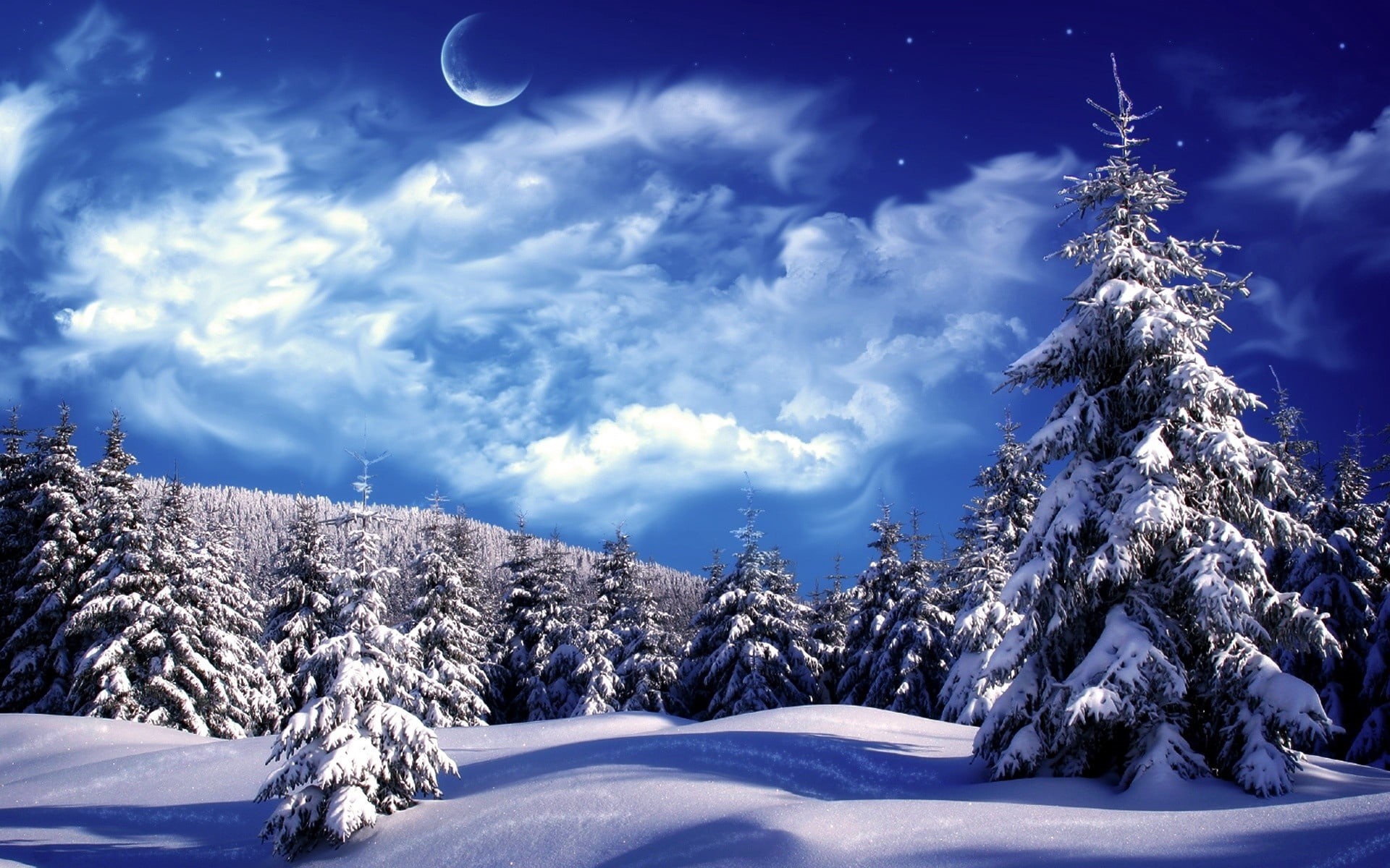 moon, pine Tree, trees, season, non-Urban Scene, tranquility, plant, beauty In Nature, cloud - Sky, outdoors, blue, tree, weather, landscape, pine, cold temperature, HD Wallpaper