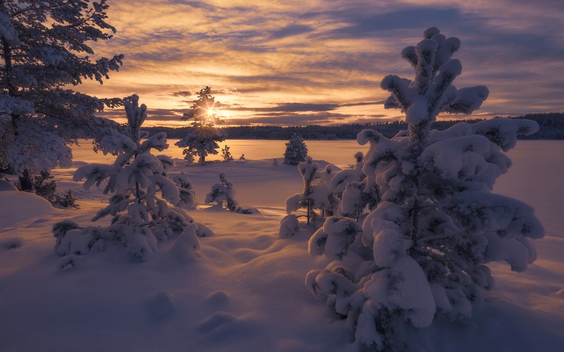 Trees, Norway, 1080P, Snow, Winter, Sunset, Thick, HD Wallpaper