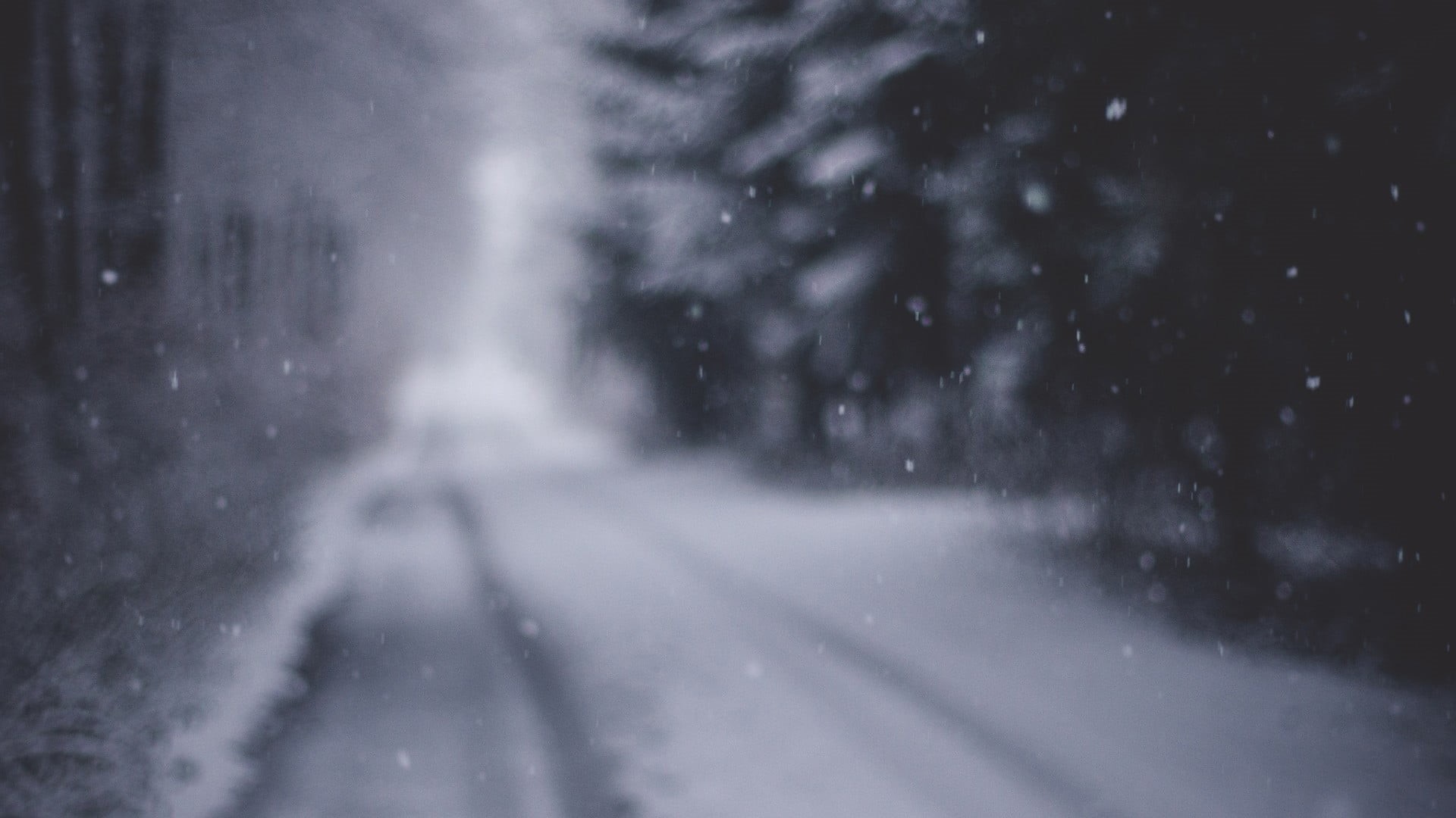 frozen, frost, torrential rain, winter, forest, abstract, street, covered, storm, 1080P, landscape, extreme weather, water, day, snowflake, backgrounds, HD Wallpaper