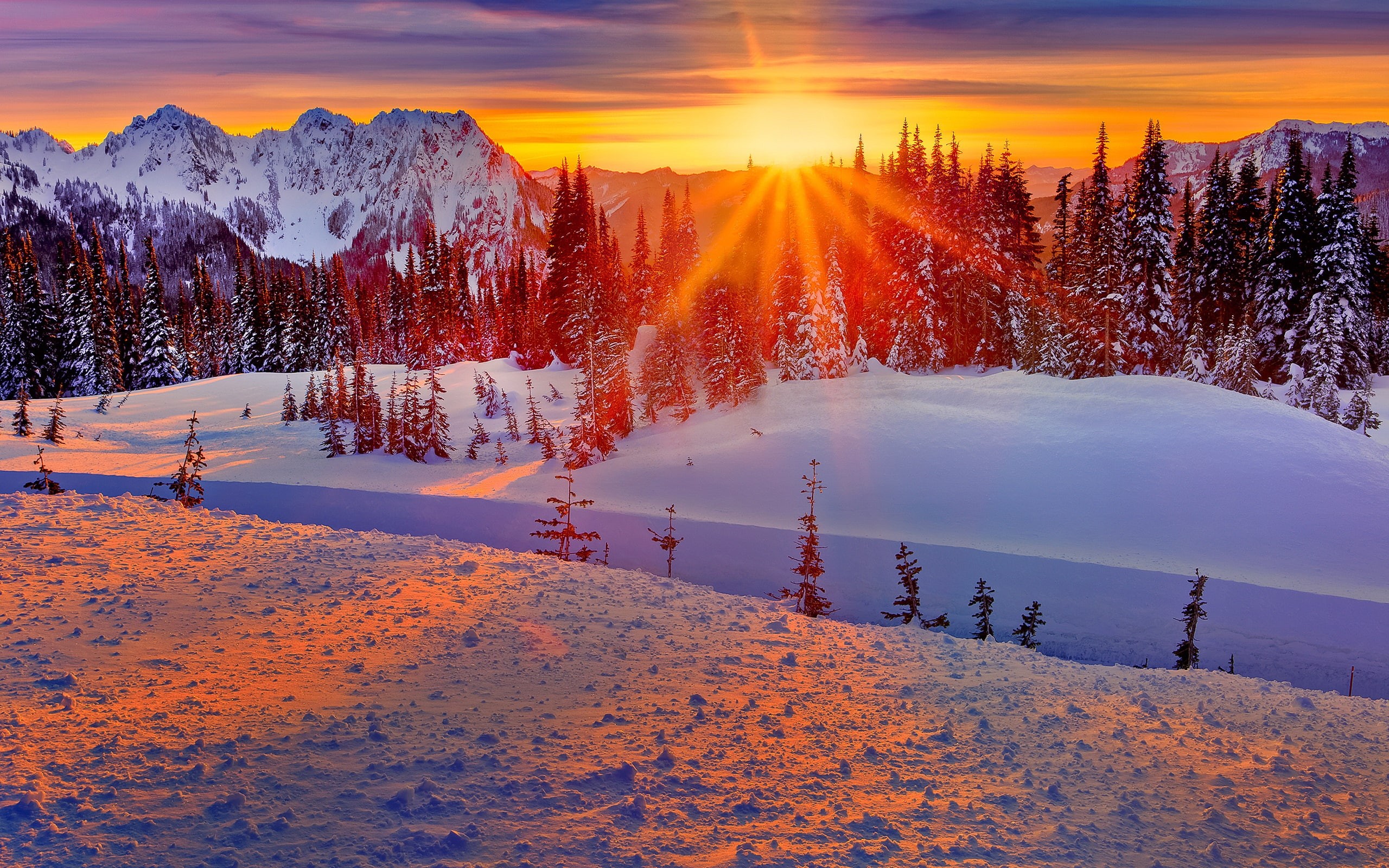 USA, Winter, 2K, Snow, Mountains, Trees, Washington, Sunset, HD Wallpaper
