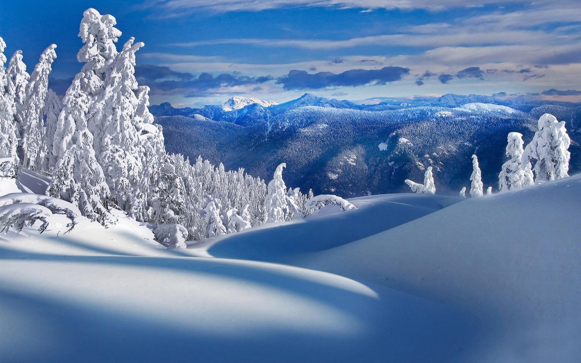 Trees, Nature, Mountains, 1080P, Cold, Winter, Snow, HD Wallpaper