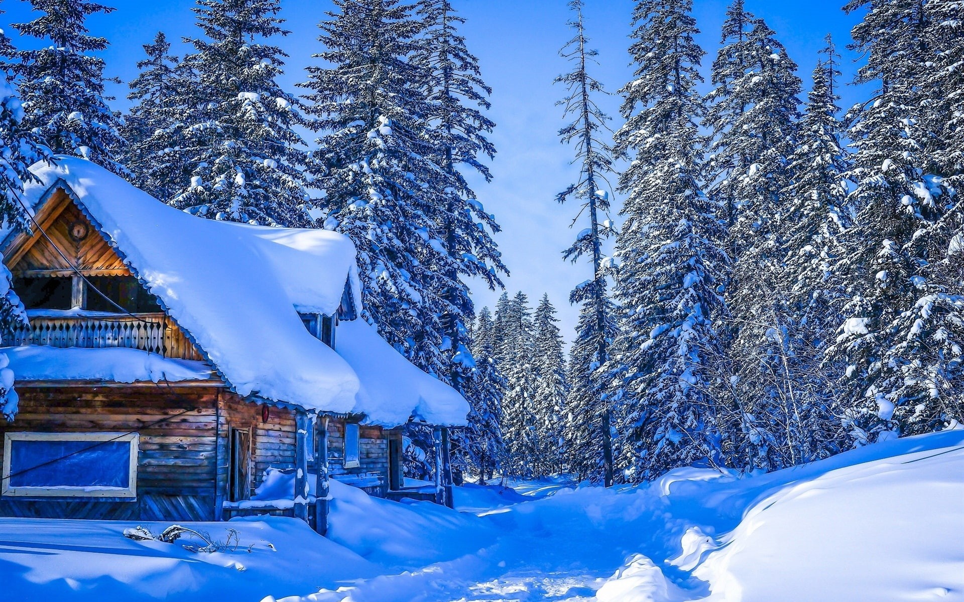 1080P, Forest, Thick, Khabarovsk, Trees, House, Snow, Winter, Krai, Russia, HD Wallpaper