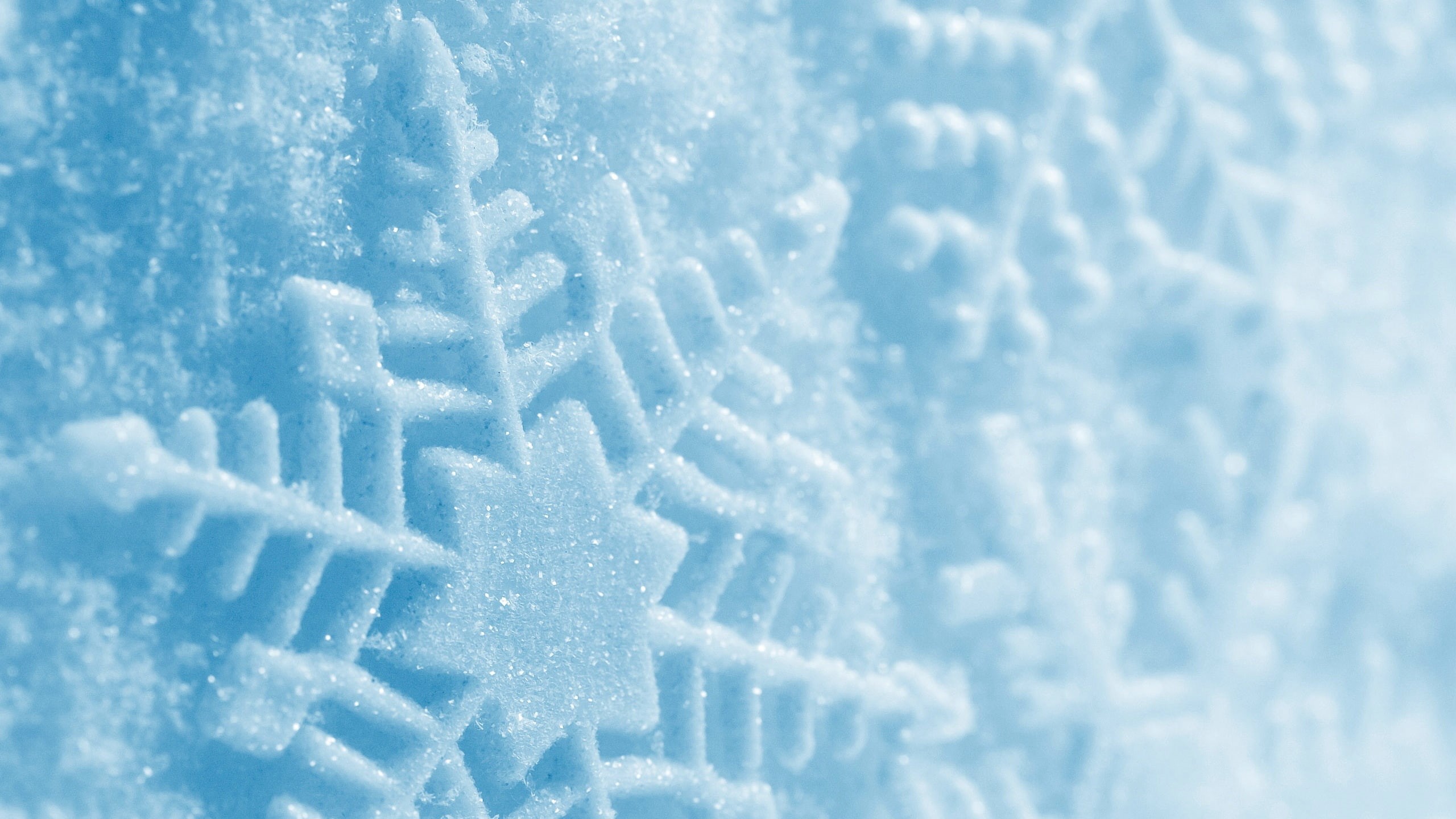winter, hd, nature, snowflake, snow, macro, 2K, HD Wallpaper