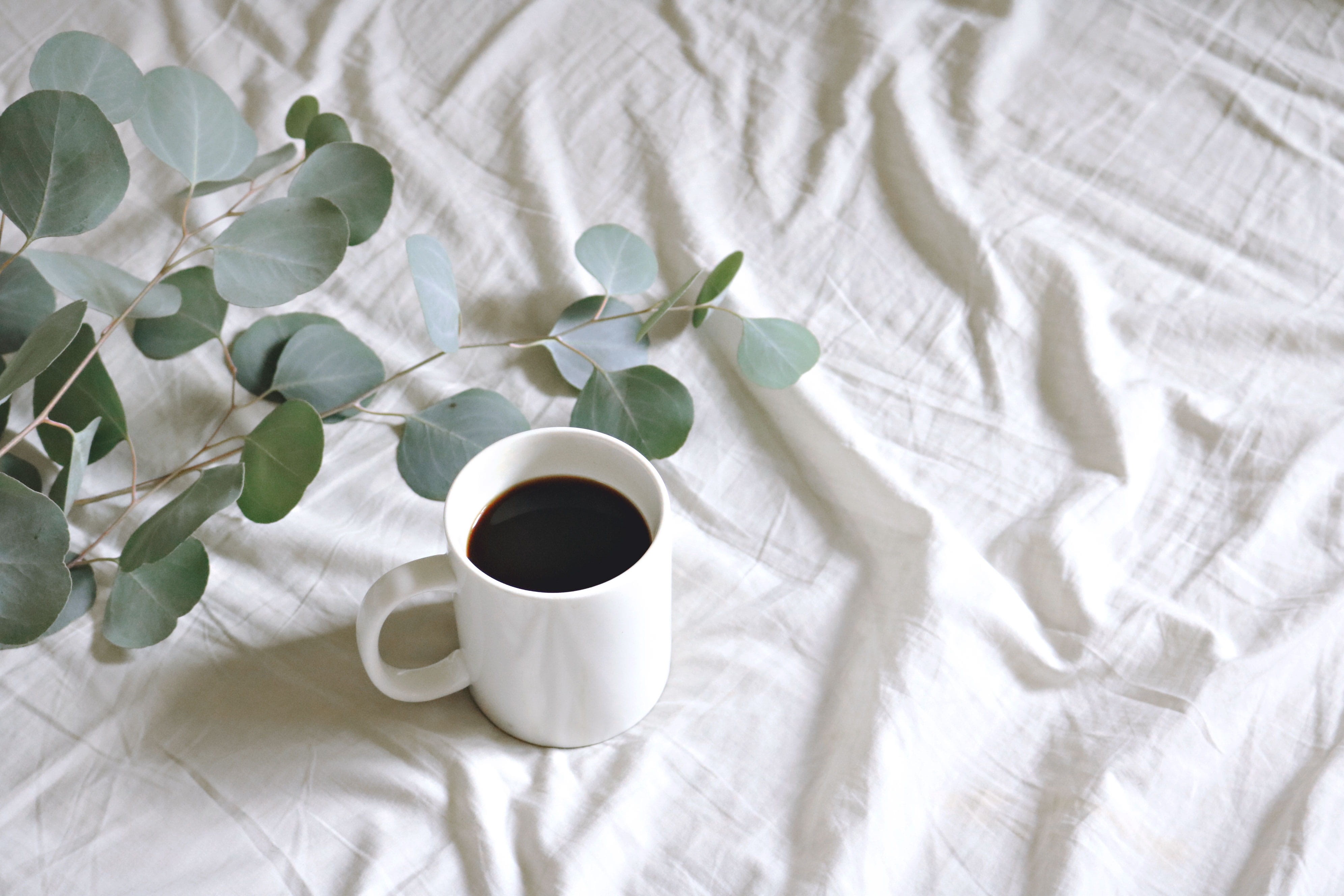 coffee drink, beverage, white, food, design, eucalyptus, 4K, breakfast, mug, break, high angle view, bedroom, dawn, bed, delicious, caffeine, copy space, HD Wallpaper
