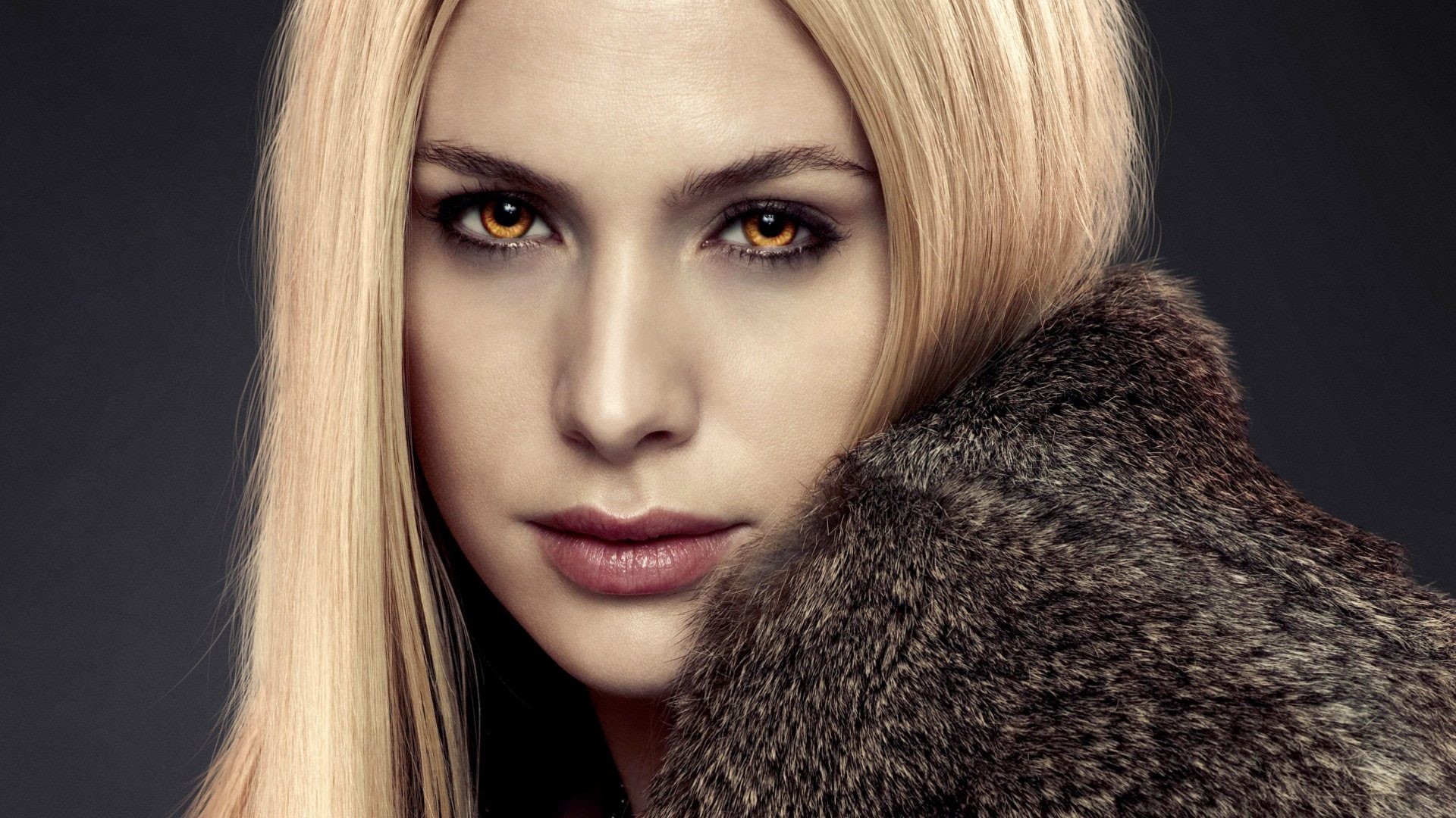 1080P, The Twilight Saga: Breaking Dawn - Part 2, Movie, HD Wallpaper