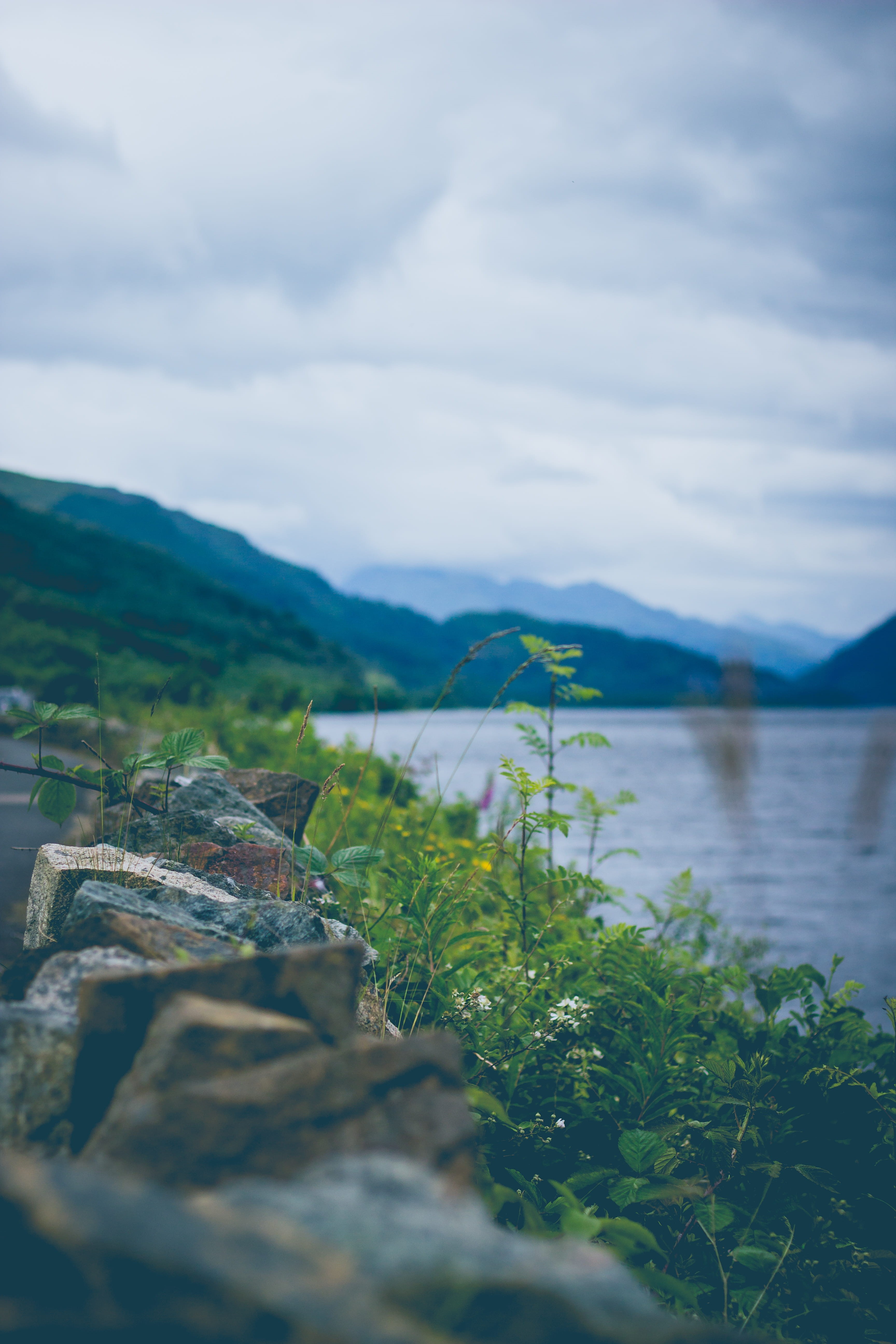 outdoors, sky, green color, nature, no people, lake, non-urban scene, united kingdom, tree, tranquil scene, forest, green, growth, river, environment, 5K, Phone HD Wallpaper