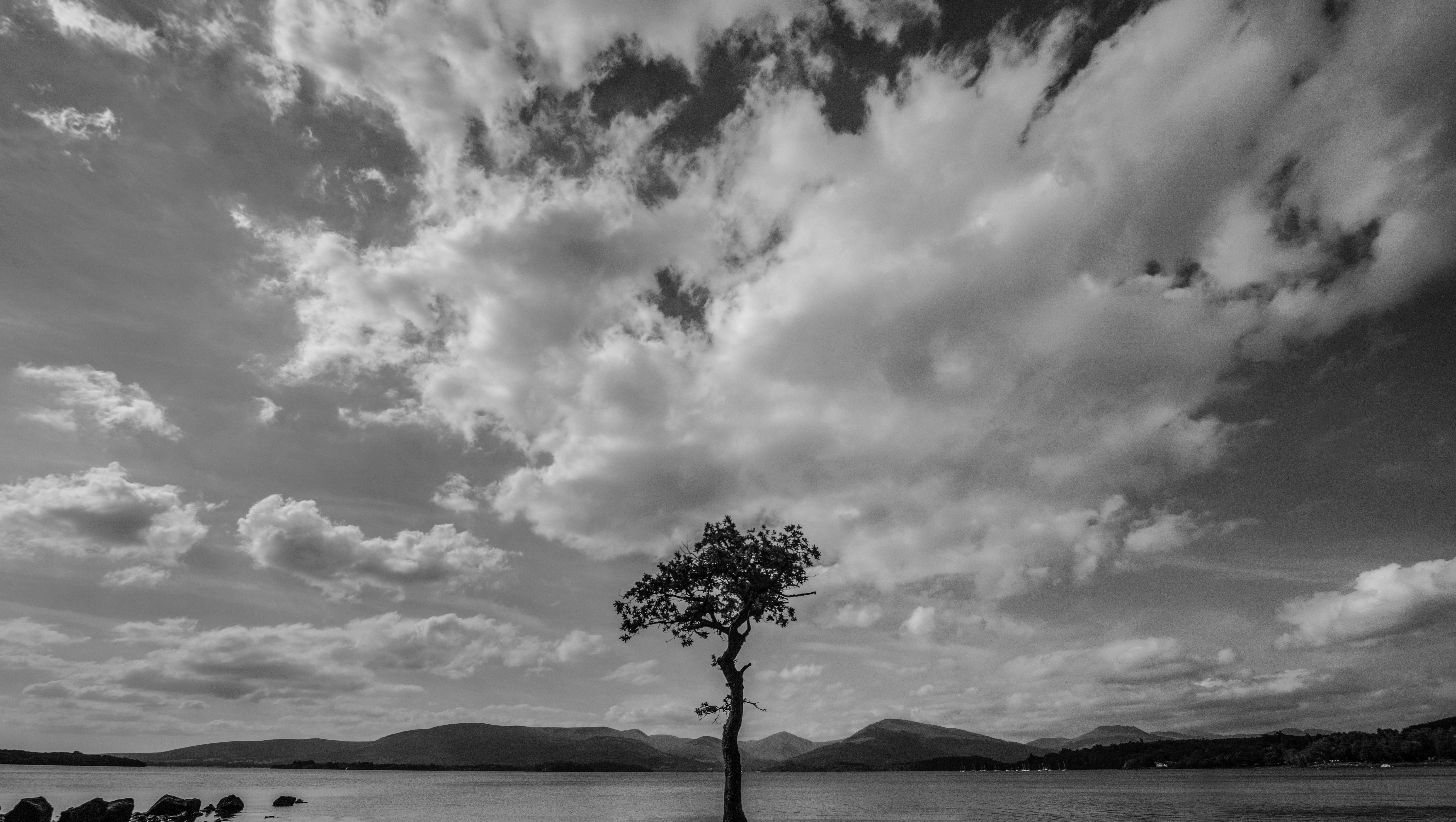 no people, mountain, scenics - nature, clouds, plant, beauty in nature, long exposure, idyllic, lake, nature, lone tree, loch lomond, scotland, united kingdom, HD Wallpaper