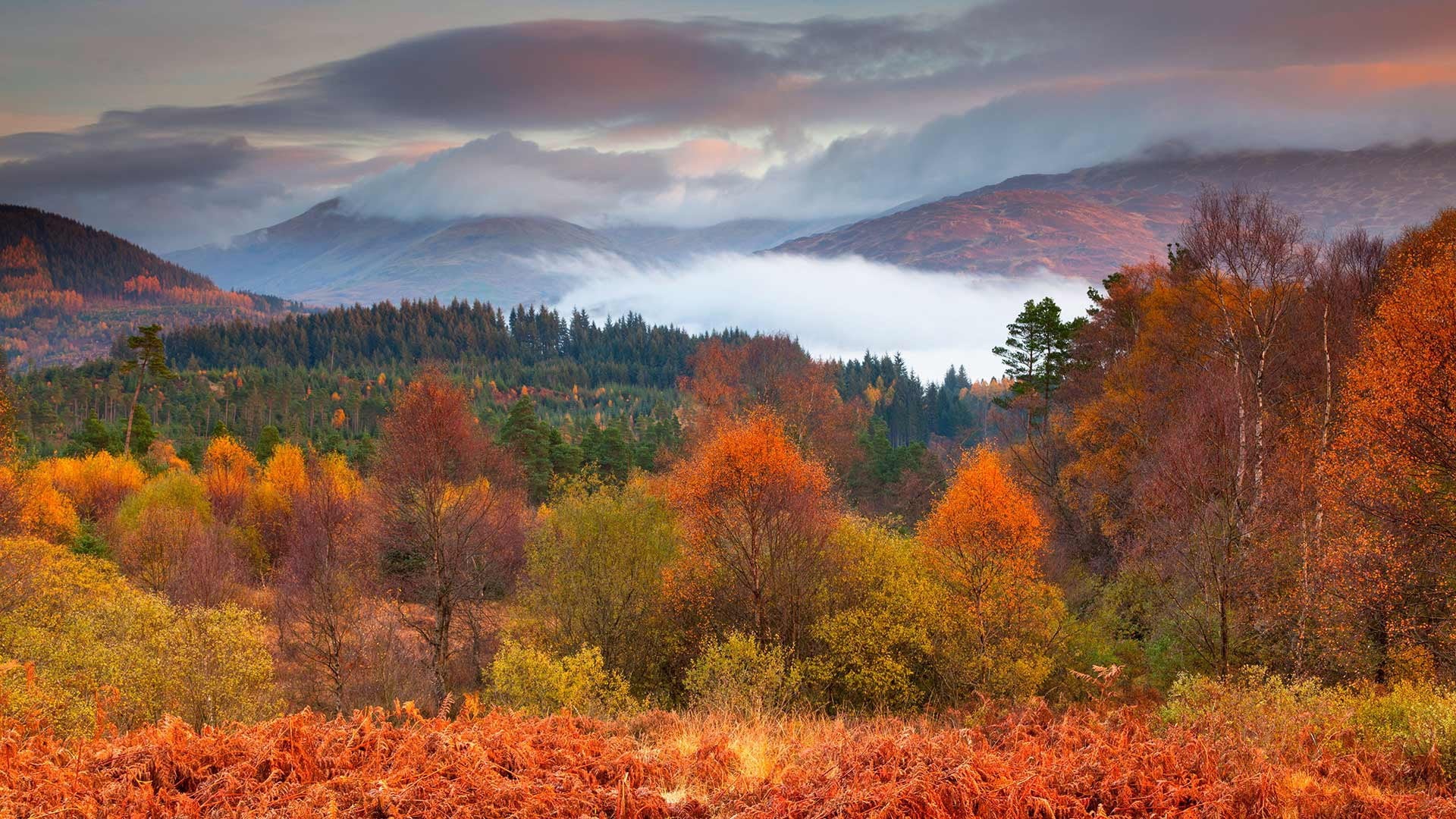 Scotland, autumn, 1080P, mountains, National Park Loch Lomond and the Trossachs, trees, HD Wallpaper