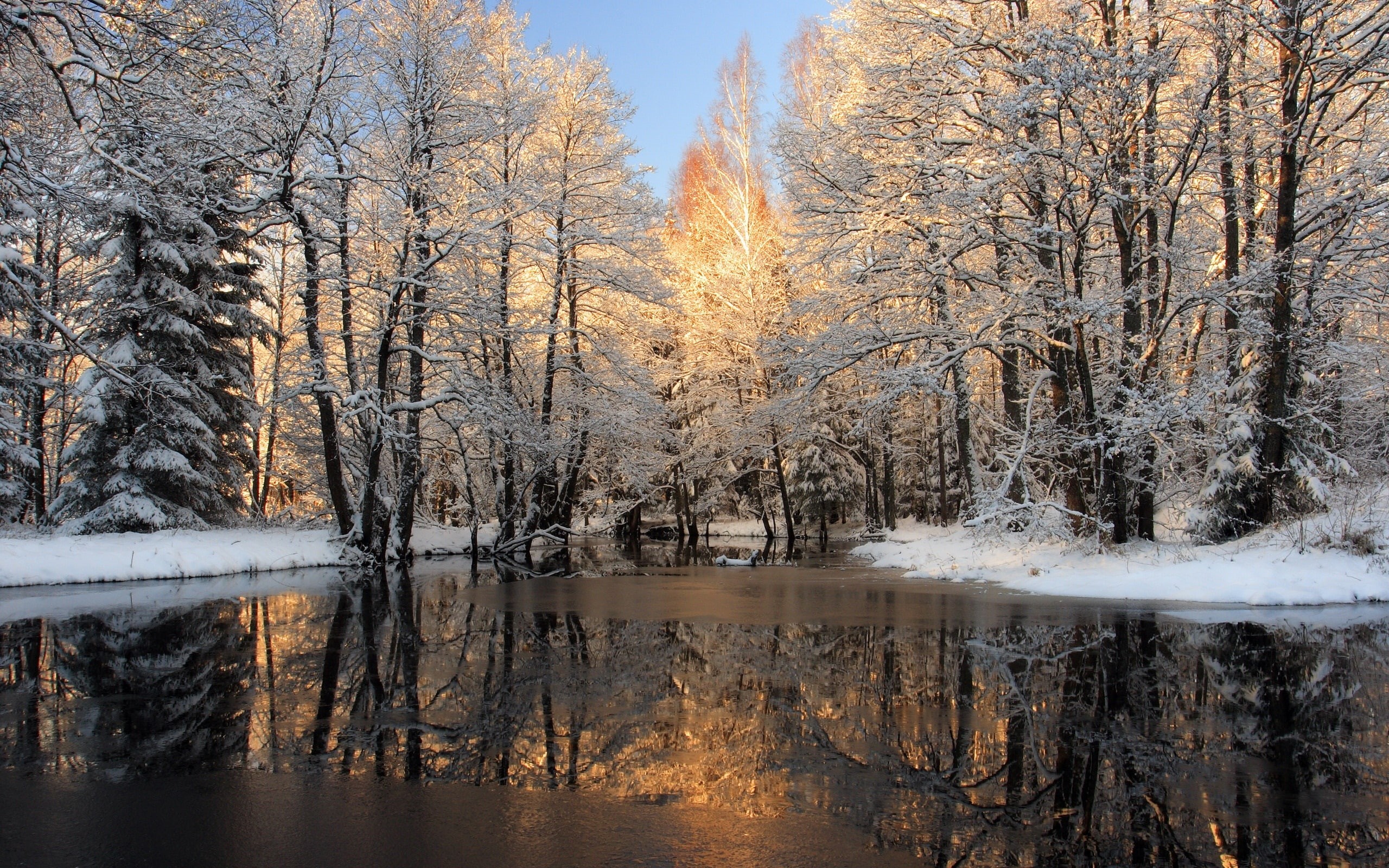 Lake, Winter, 2K, Ice, Trees, Forest, Snow, HD Wallpaper