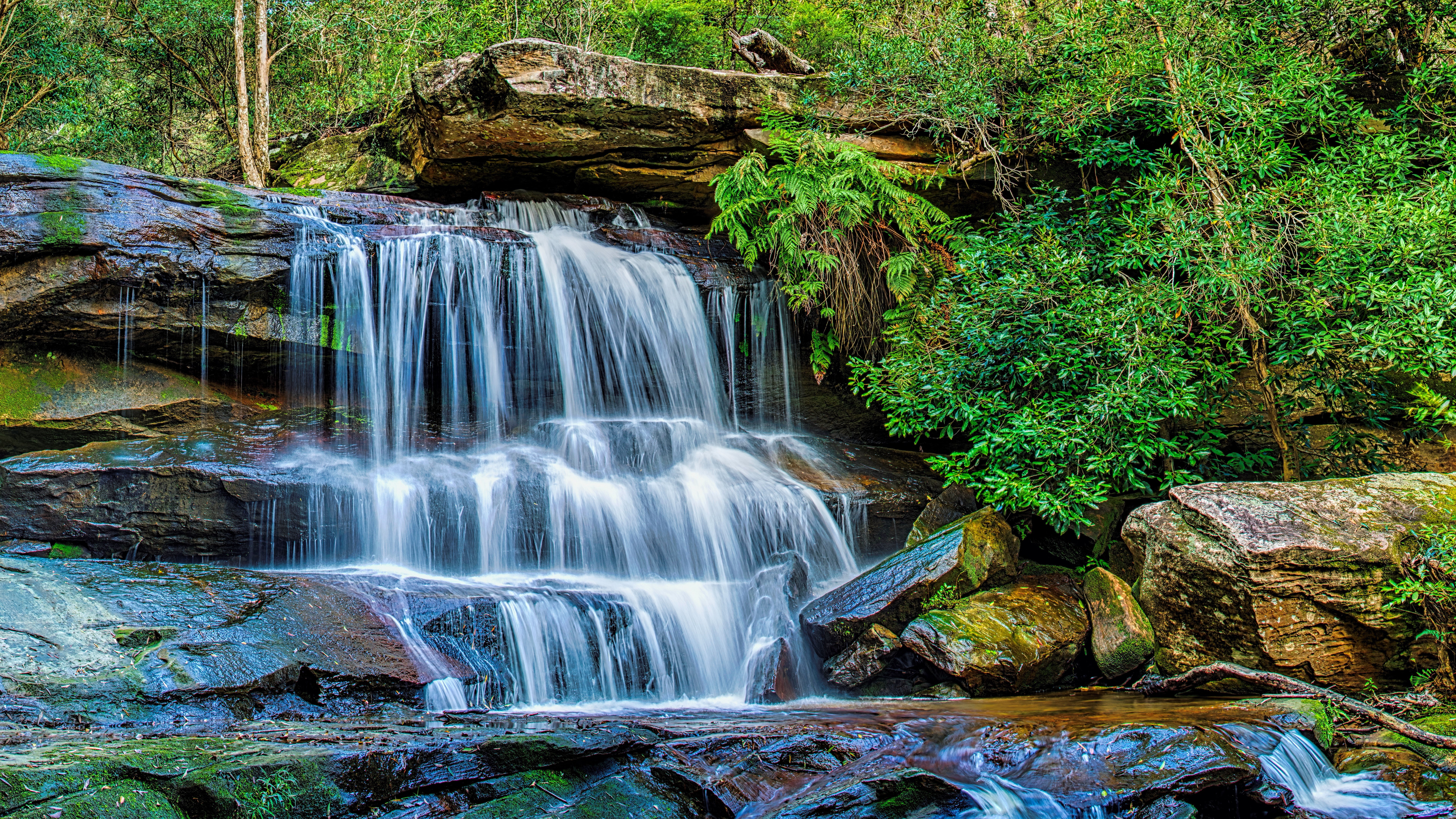 8K, nature backgrounds images 7680x4320, HD Wallpaper