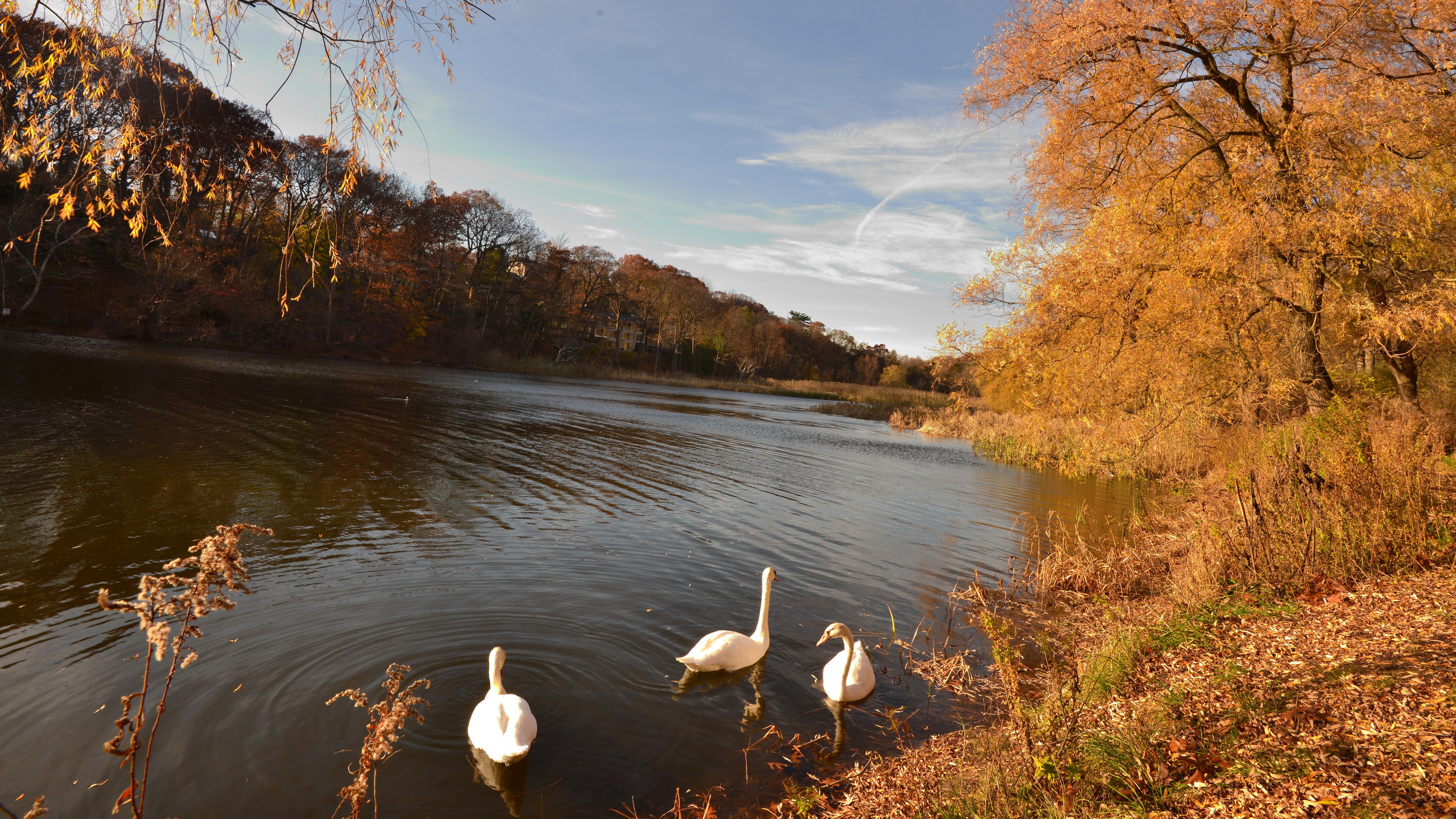 nature backgrounds images 7680x4320, 8K, HD Wallpaper