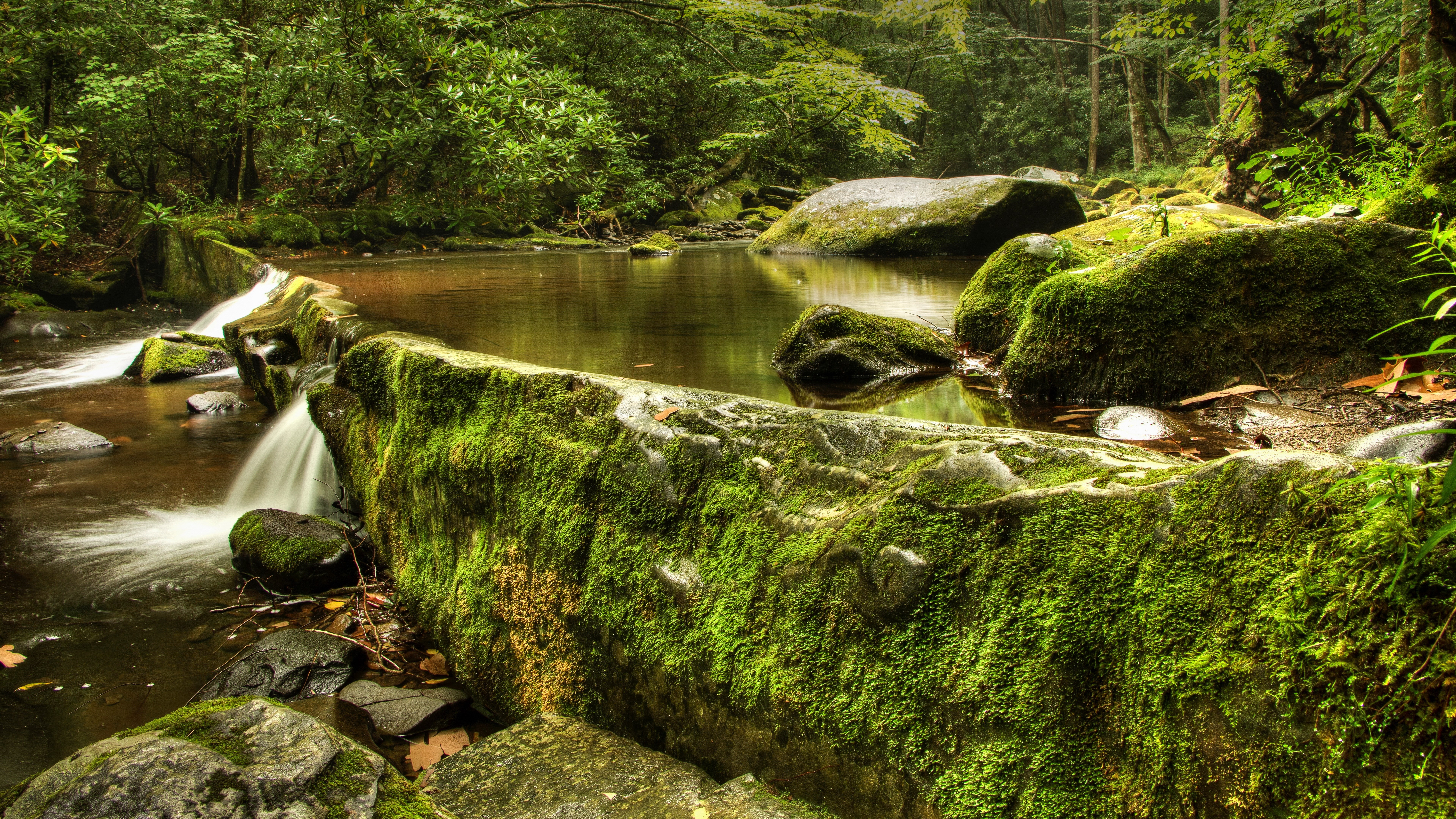 8K, nature backgrounds images 7680x4320, HD Wallpaper
