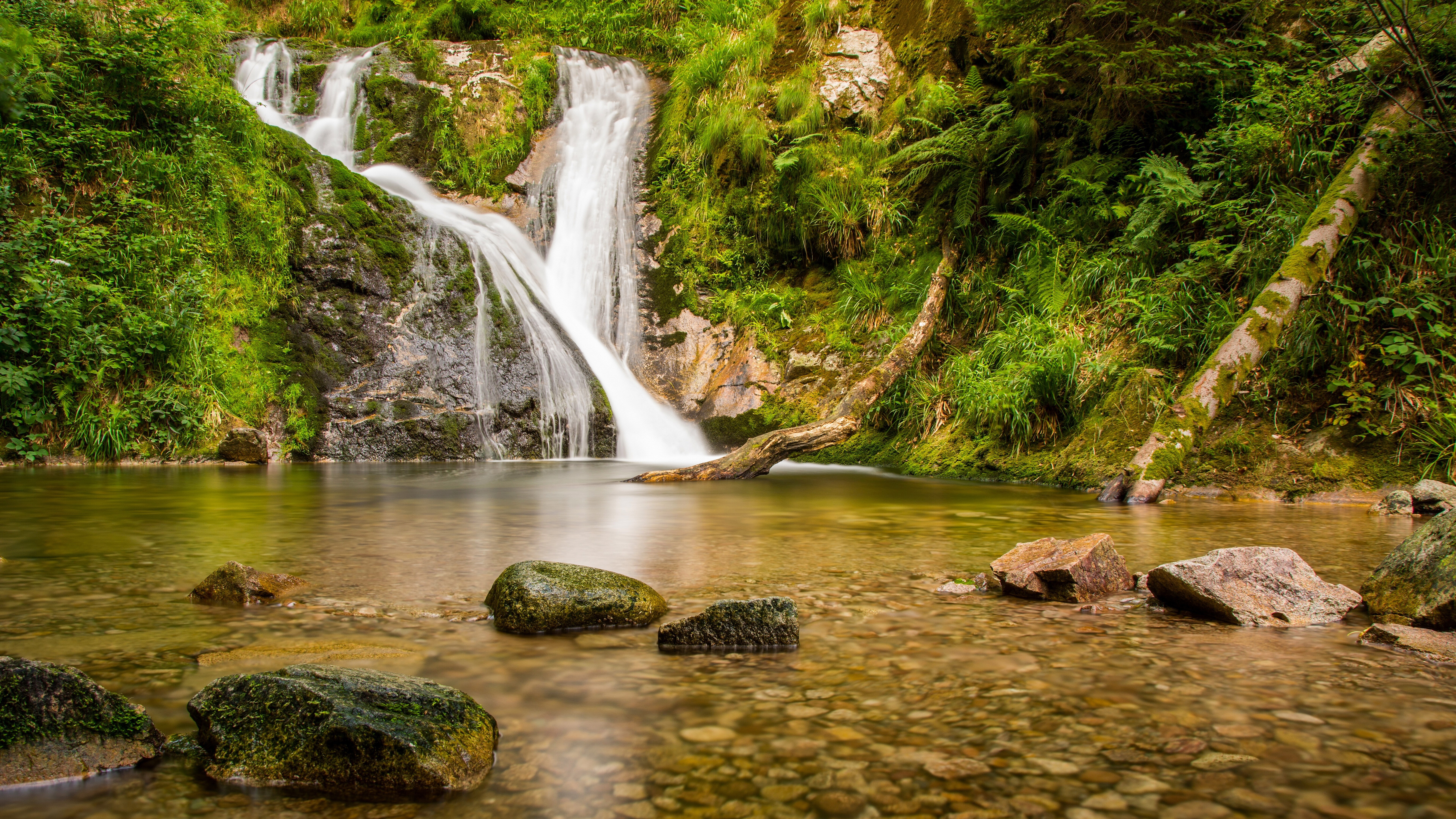 8K, nature backgrounds images 7680x4320, HD Wallpaper