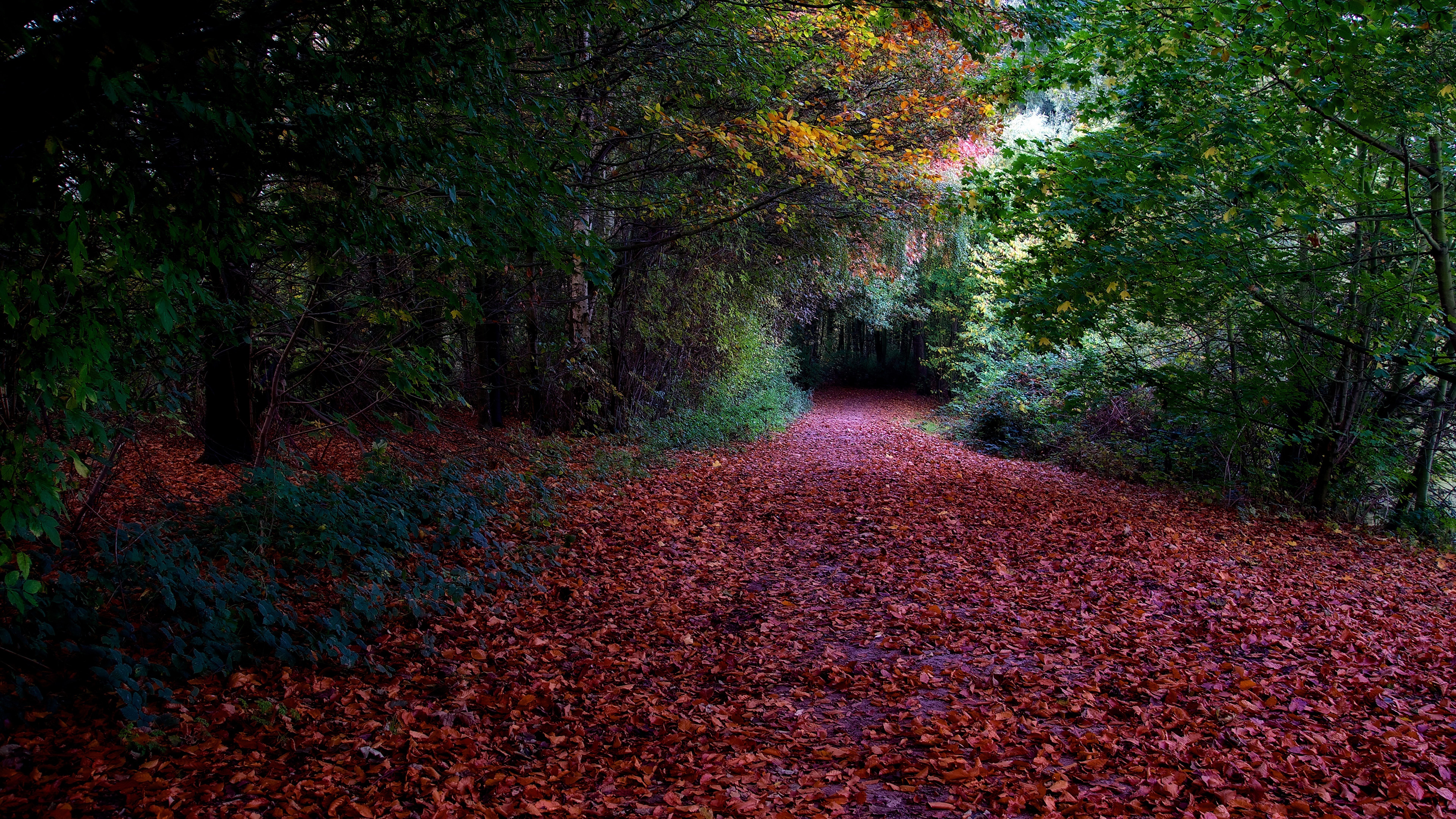 nature backgrounds images 7680x4320, 8K, HD Wallpaper