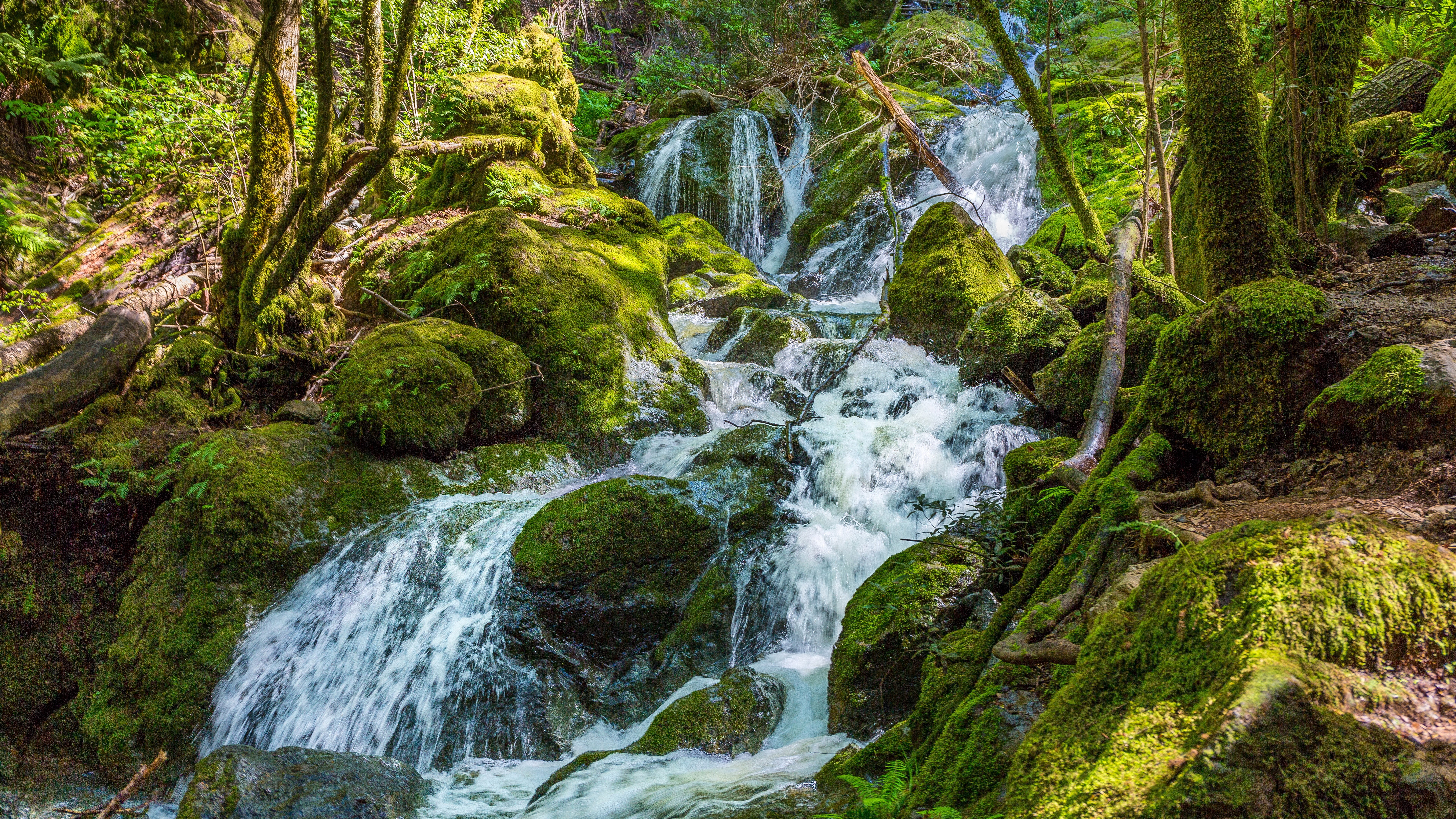 nature backgrounds images 7680x4320, 8K, HD Wallpaper