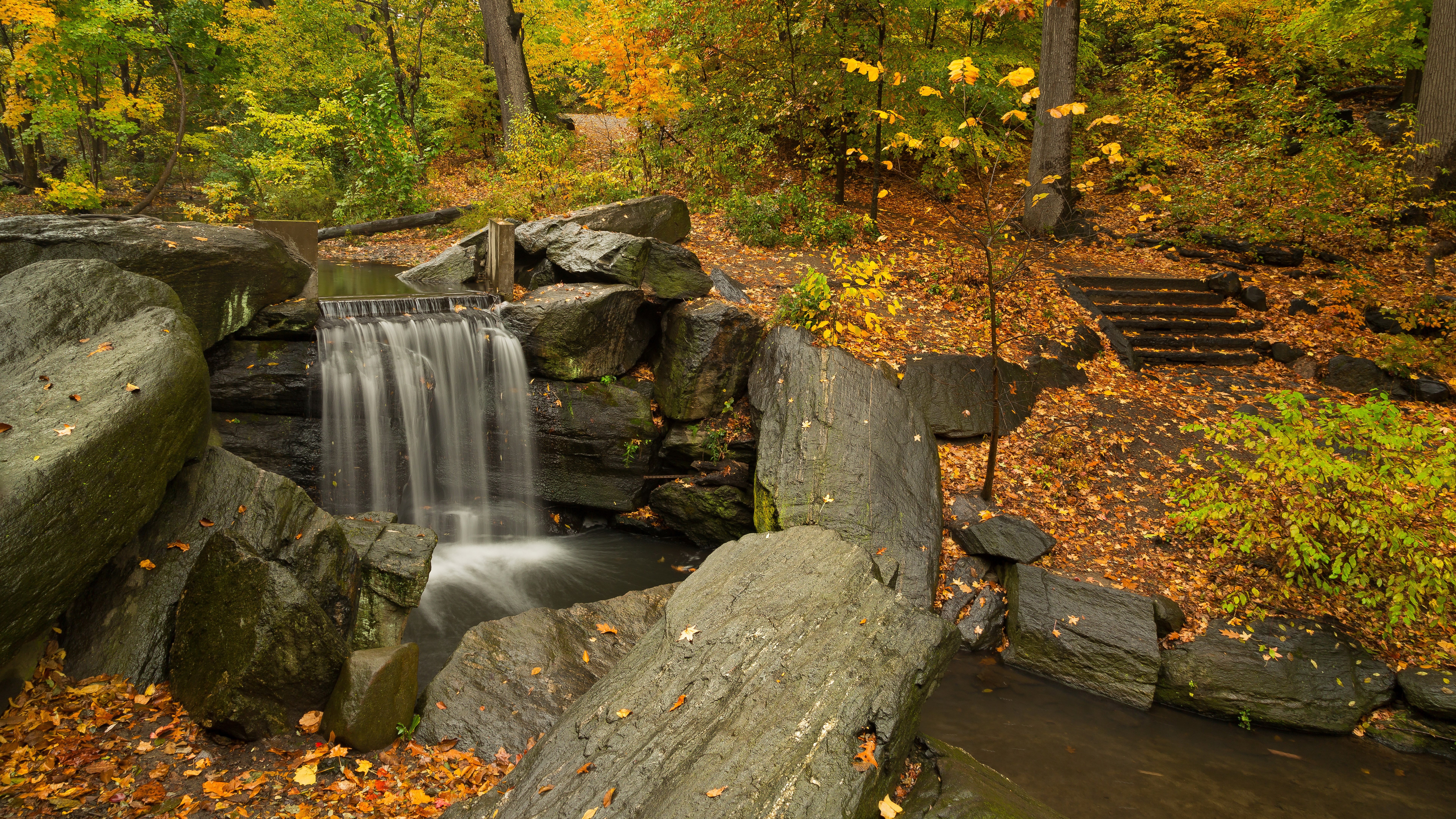 nature backgrounds images 7680x4320, 8K, HD Wallpaper