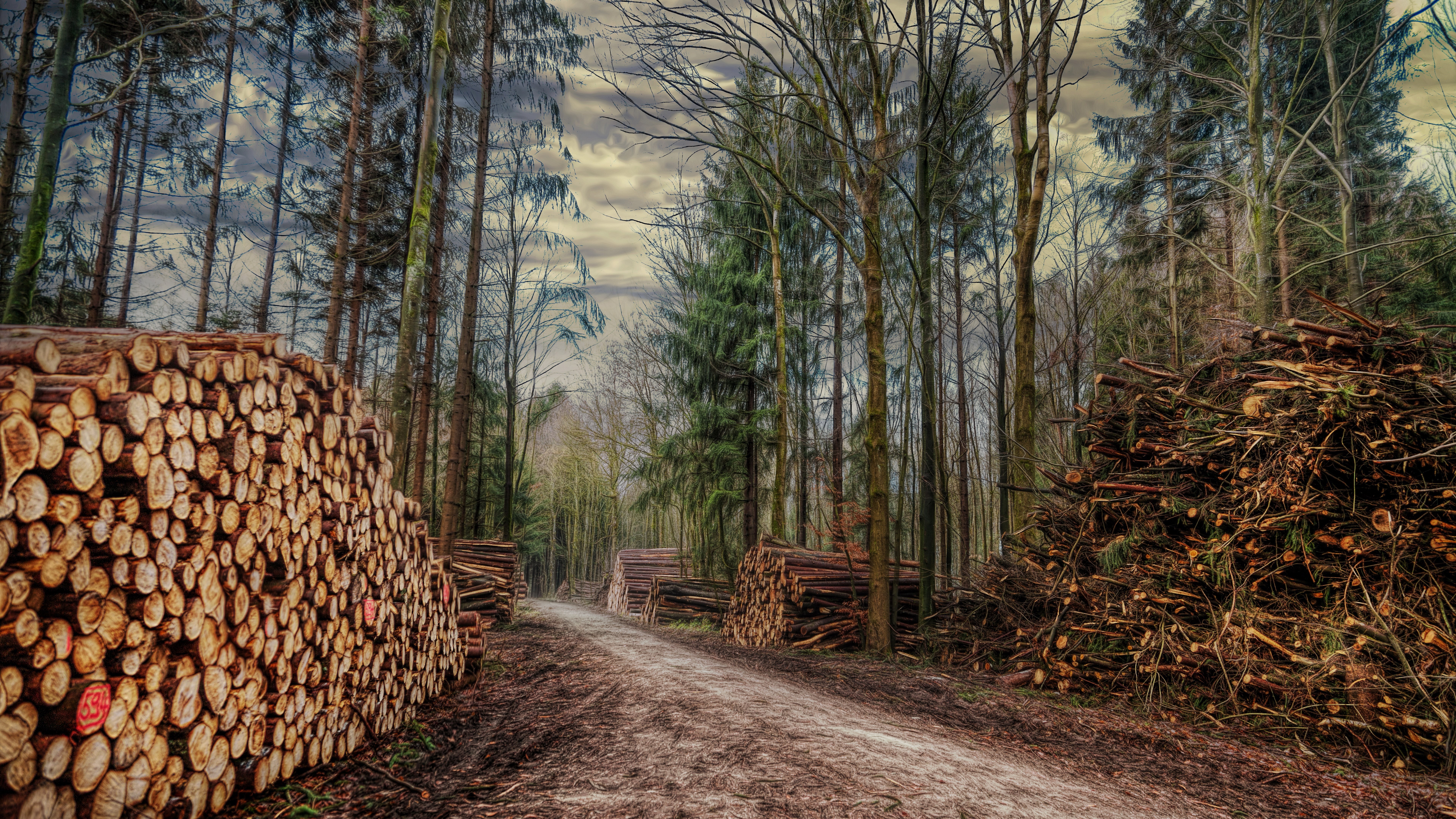 8K, nature backgrounds images 7680x4320, HD Wallpaper
