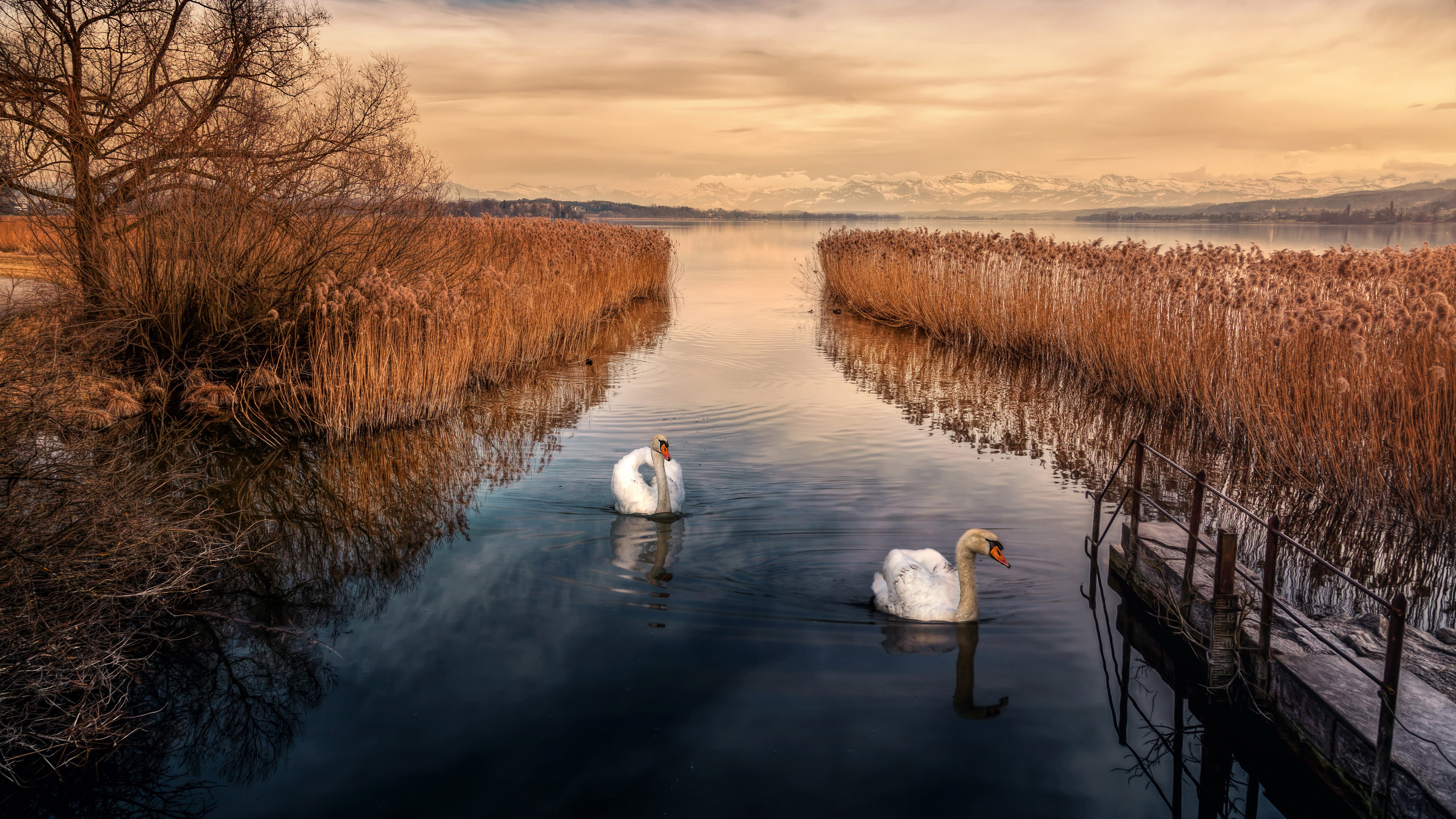 nature backgrounds images 7680x4320, 8K, HD Wallpaper
