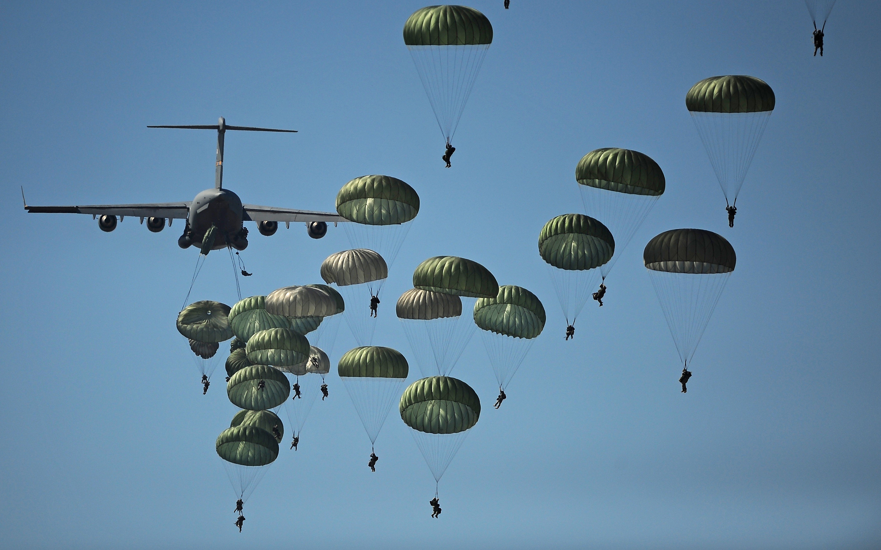 daytime, ballooning festival, hanging, plane, parachutists, floating, hot air balloon, jumping, 2K, extreme sports, mid-air, air, canopy, military, parachuting, HD Wallpaper