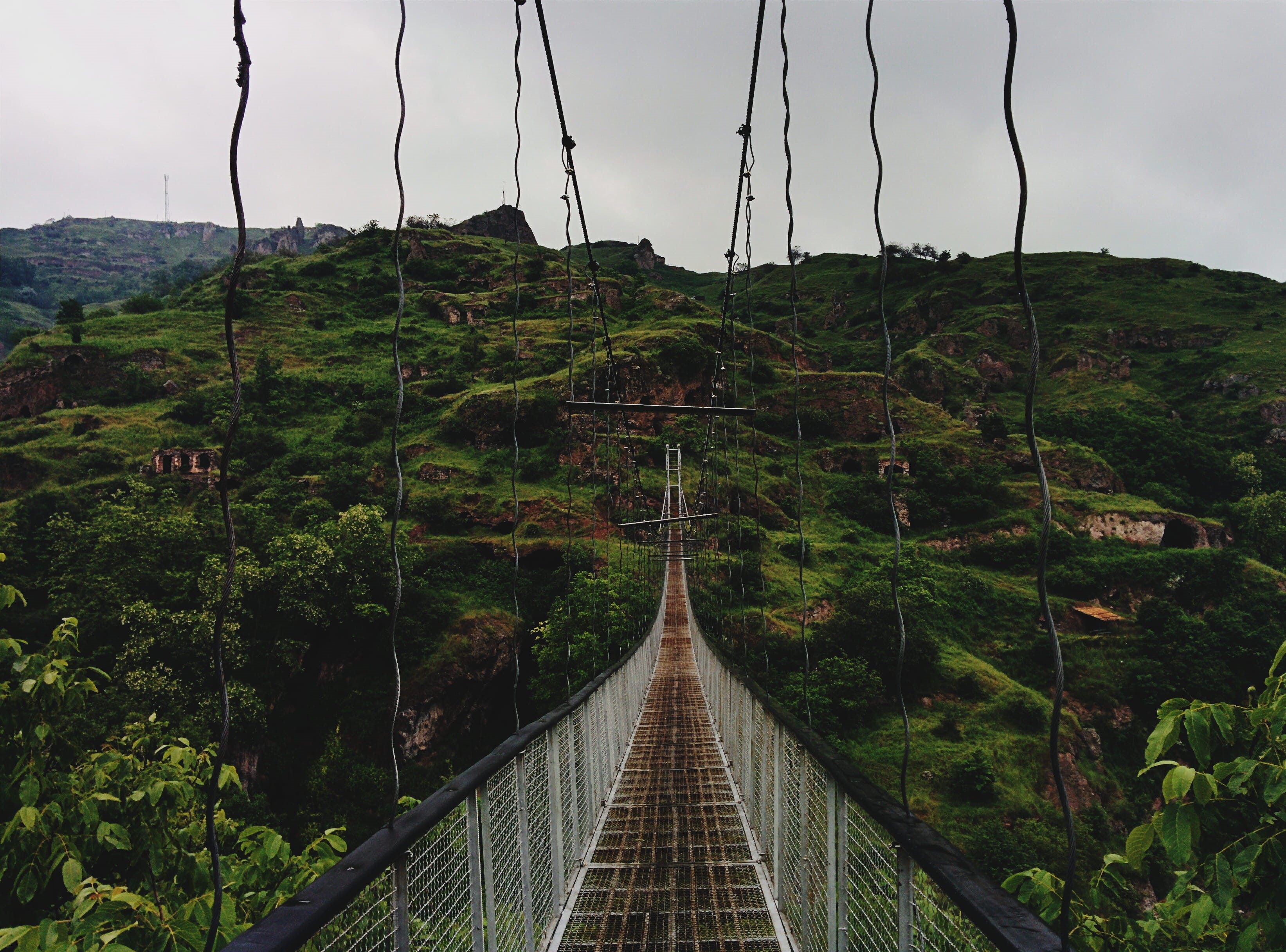 green color, rope, tree, built structure, bridge - man made structure, architecture, day, sky, direction, 2K, growth, outdoors, diminishing perspective, HD Wallpaper