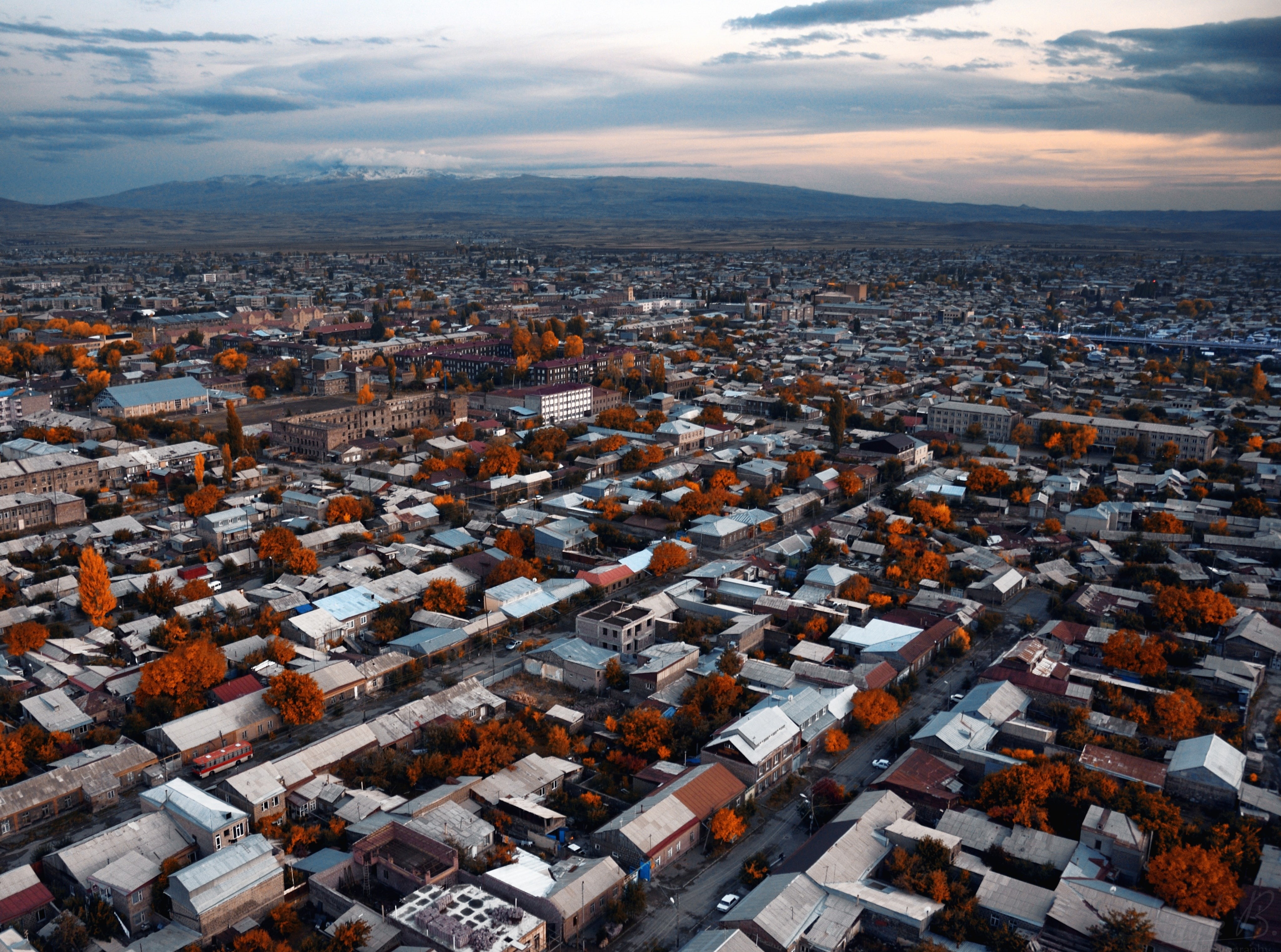 Scenery, day, roof, townscape, aerial view, fall trees, Aerial, plant, residential district, cityscape, settlement, nature, Houses, built structure, 4K, HD Wallpaper
