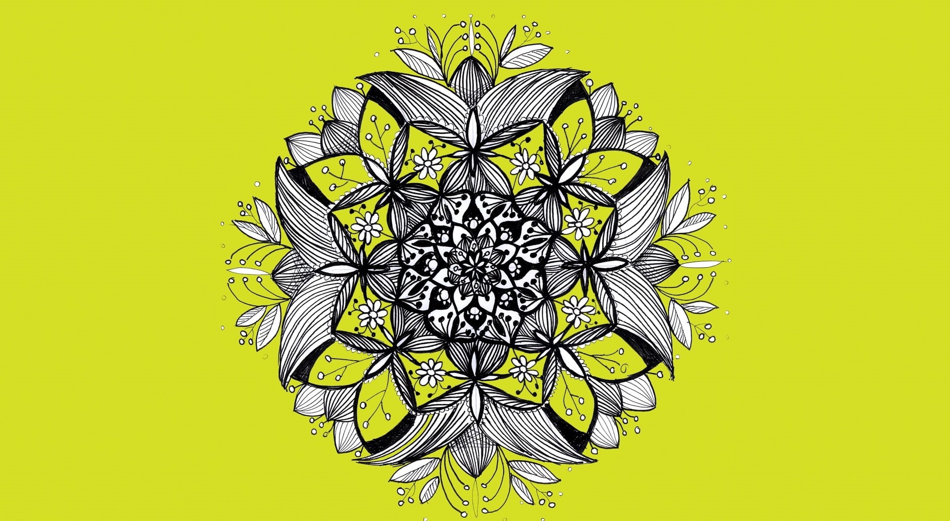  pattern, design, symmetry, flower, studio shot, digital, indoors, 1080P, creativity, Drawings, green, no people, armenia, abstract, mandala, HD Wallpaper