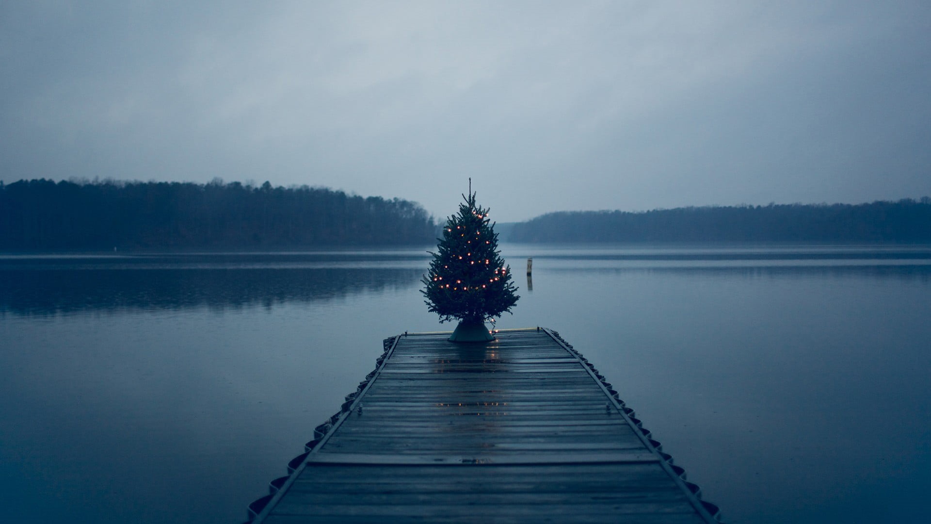 jetty, Christmas Tree, nature, reflection, tranquility, tree, 1080P, wood - material, brown, pier, outdoors, tranquil scene, one person, wooden, beauty in nature, HD Wallpaper