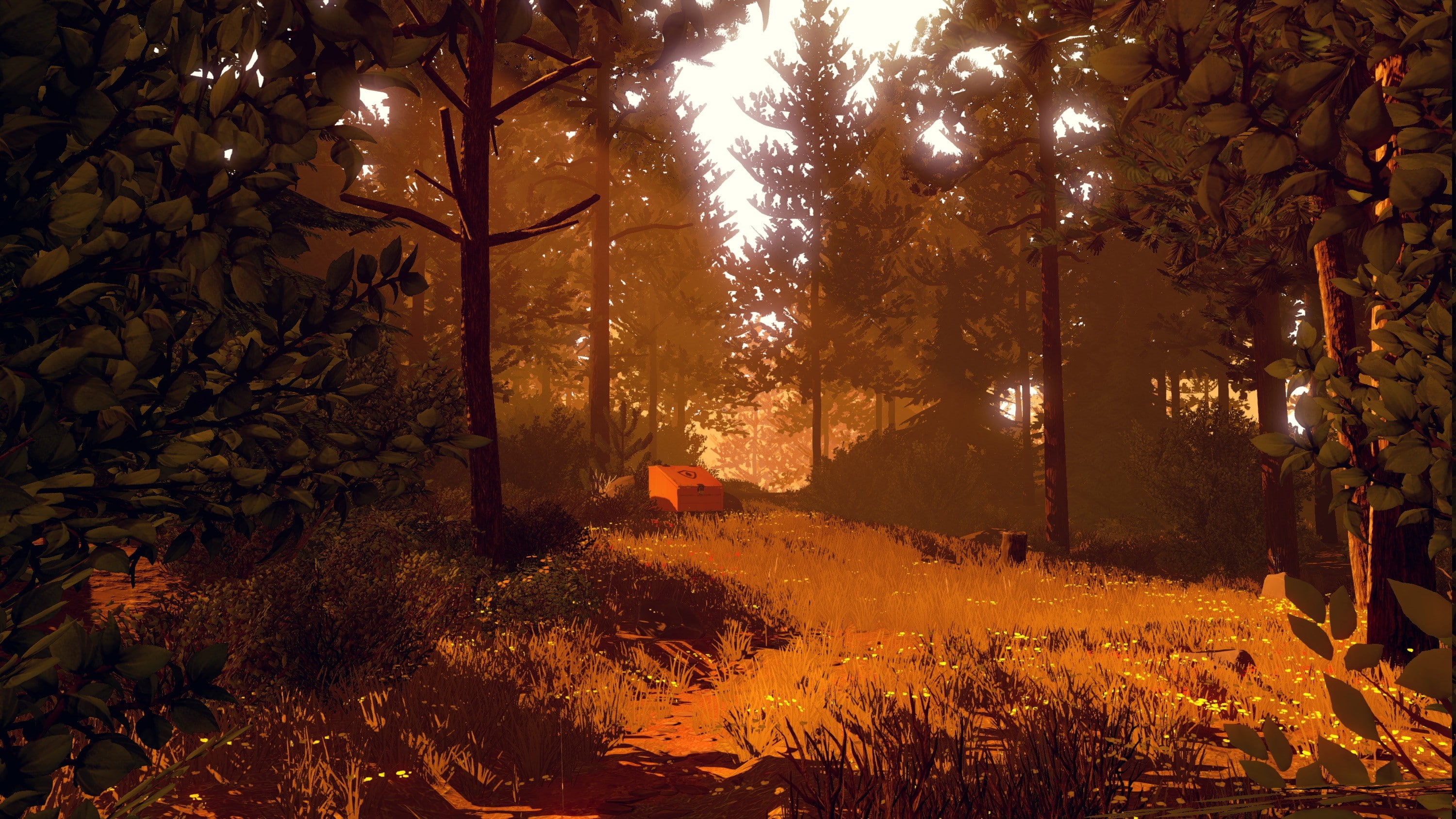 artwork, forest, field, scenics - nature, tree, trunk, outdoors, beauty in nature, land, plant, video games, streaming, Campo Santo, 2K, illuminated, no people, HD Wallpaper