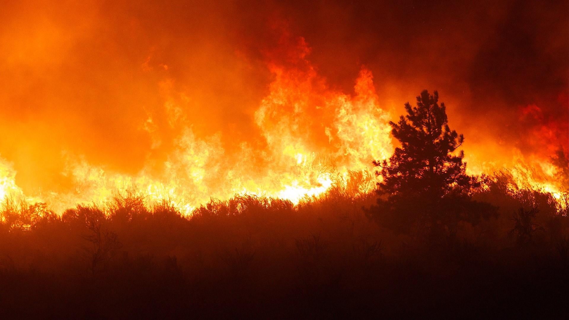air pollution, sign, destruction, on fire, forest, disaster, nature, accidents and disasters, tree, 1080P, environmental damage, fire, wildfire, forest fire, HD Wallpaper