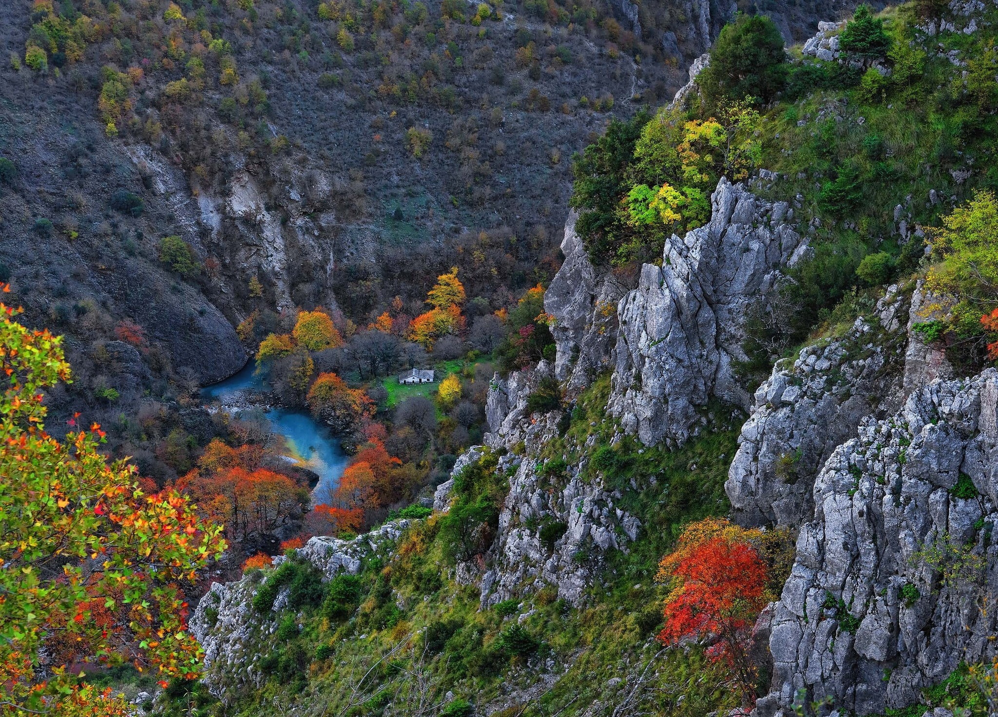 canyon, asia, rock, growth, day, change, forest, outdoors, land, plant, multi Colored, mountain, non-urban scene, scenics - nature, yellow, fall, landscape, HD Wallpaper