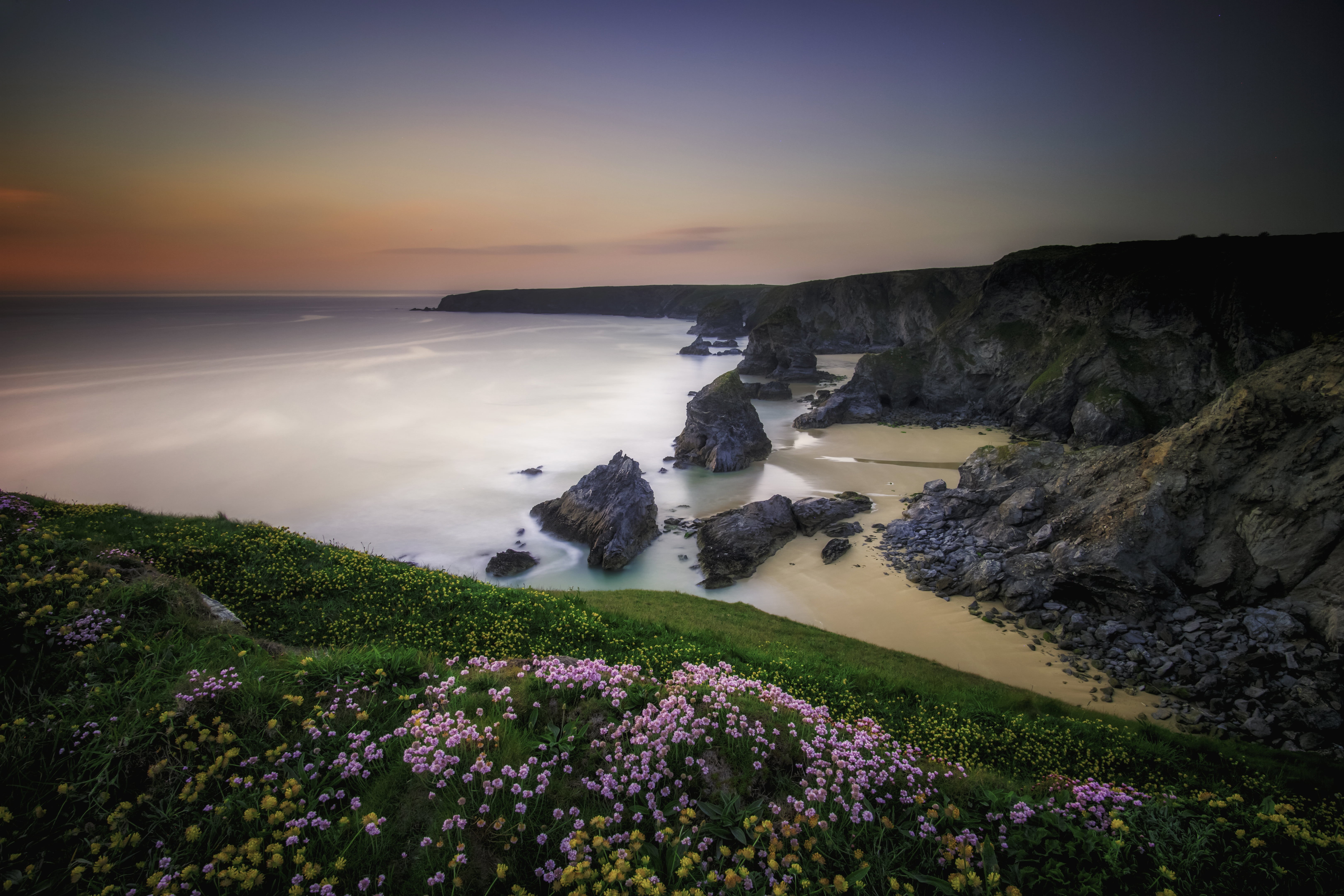 purple flower, jones, 5K, scenics, Steps, flowers, Bedruthan, lot, atlantic, coast, beach, photography, cornwall, com, coastline, beside, nature, purple, HD Wallpaper
