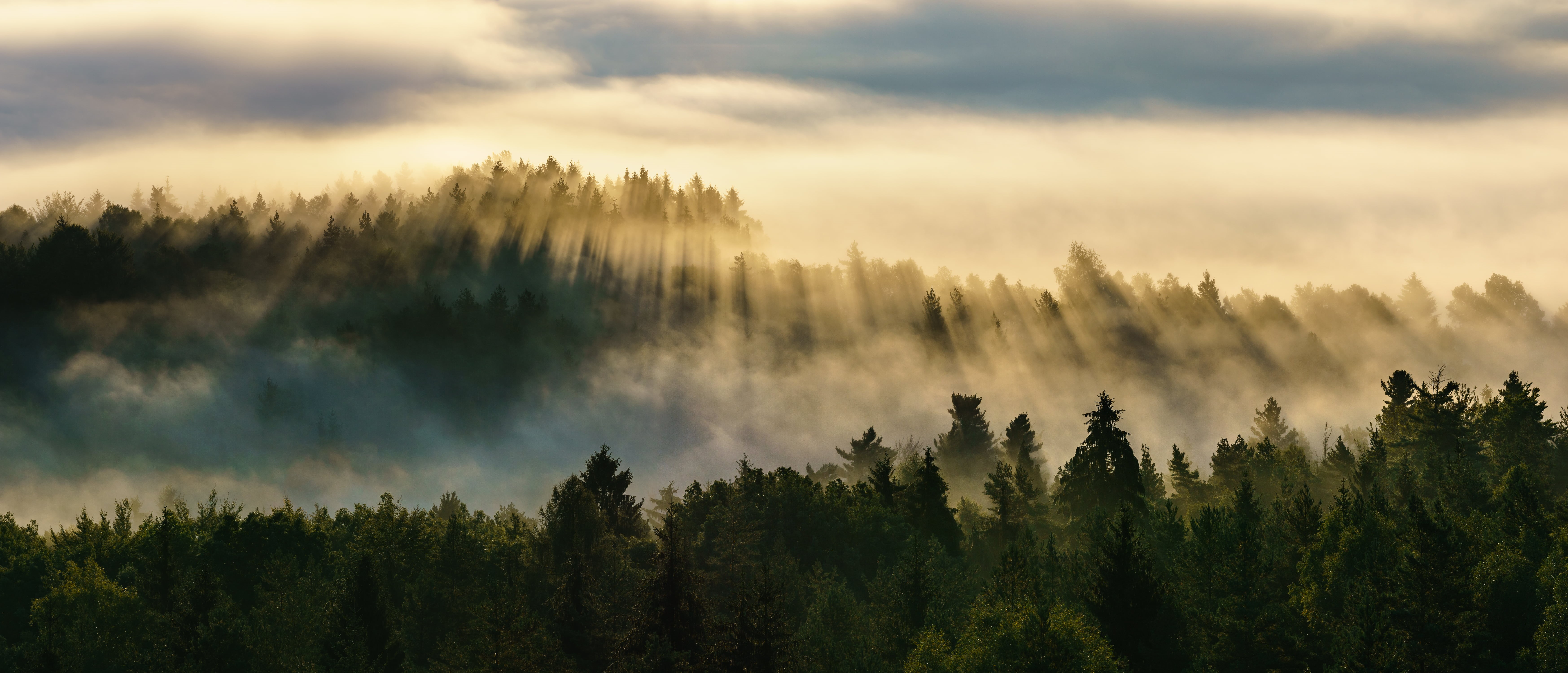 Pano, Fog, Sonne, outdoors, trees, 5K, gray, Panorama, green, morning, Sun, Nature, Sächsische-Schweiz, mountain, Mirrorless, Sony, Landscape, sunset, HD Wallpaper