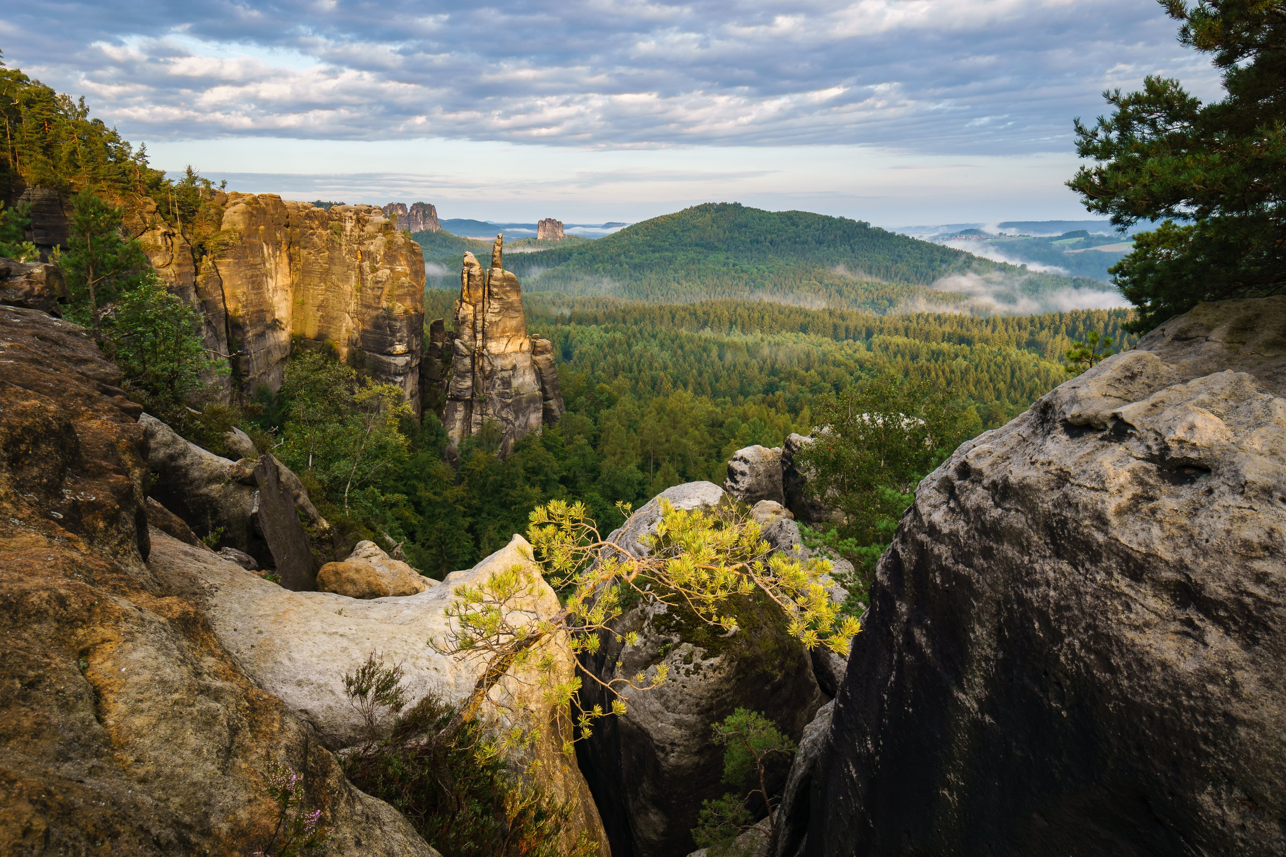 travel, Nebel, forest, Elbsandsteingebirge, Affensteine, Rocks, Sächsische-Schweiz, Switzerland, Fog, Mountains, Sony  a6000, mountain, nature, Sachsen, HD Wallpaper