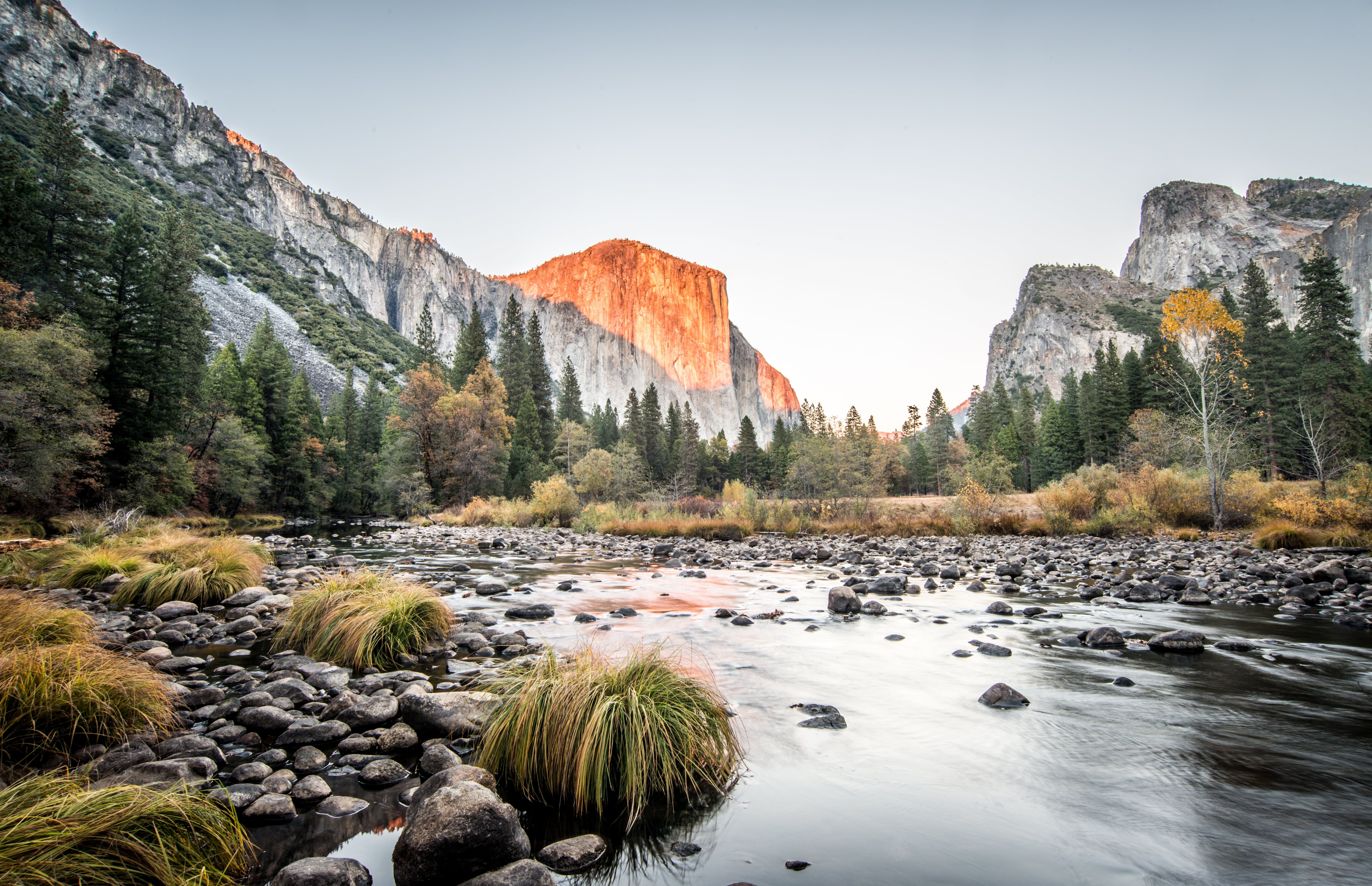Landscape, beauty In Nature, el, picture, nature, rock - Object, yosemite, forest, scenics, El Capitan, 5K, daylight, HDR, national Landmark, outdoors, HD Wallpaper