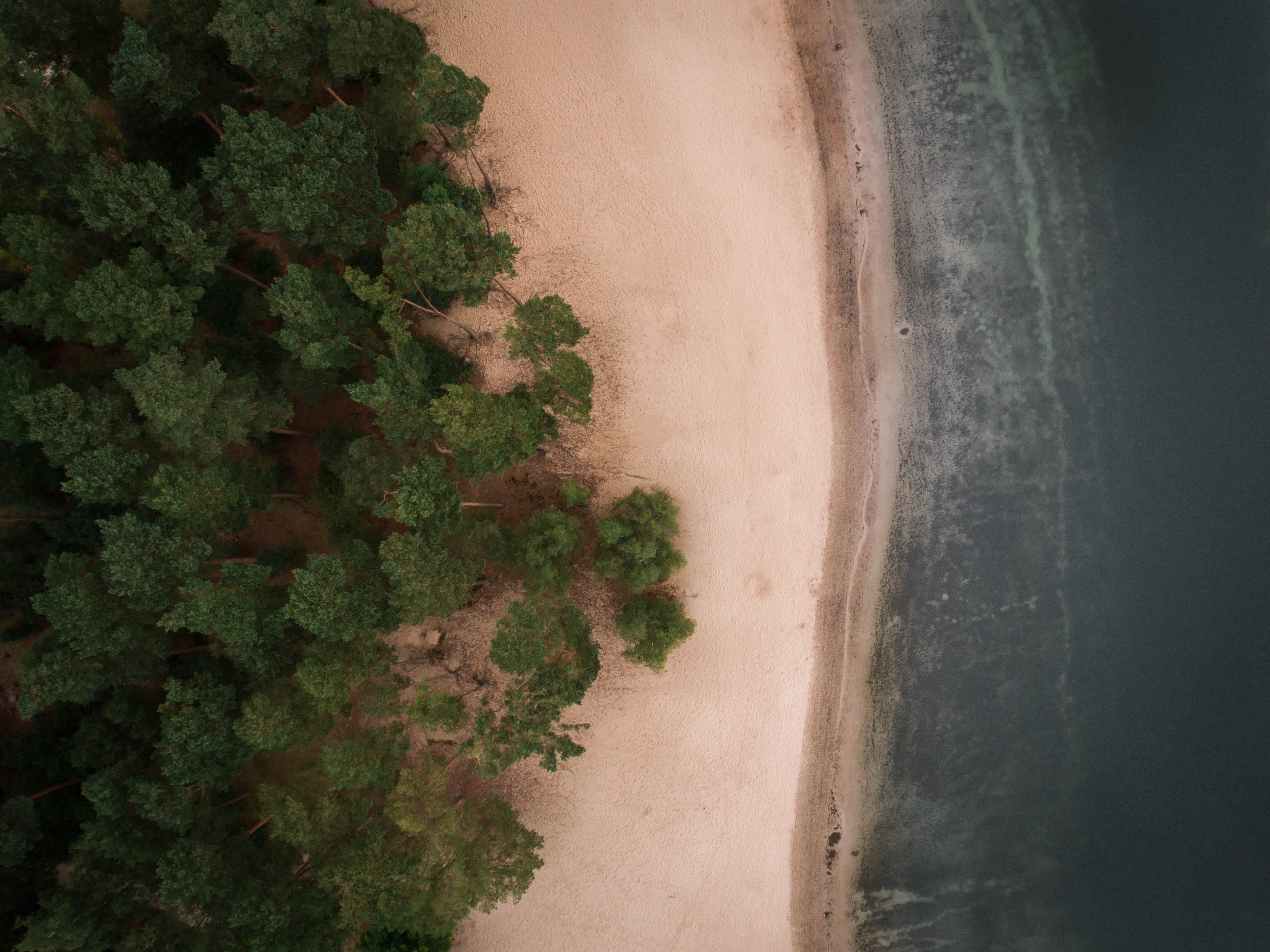 beach, no people, nature, sun, forest, high angle view, 2K, landscape, plant, sea, coast, eyeview, seashore, road, field, green, shore, tranquility, photo, HD Wallpaper