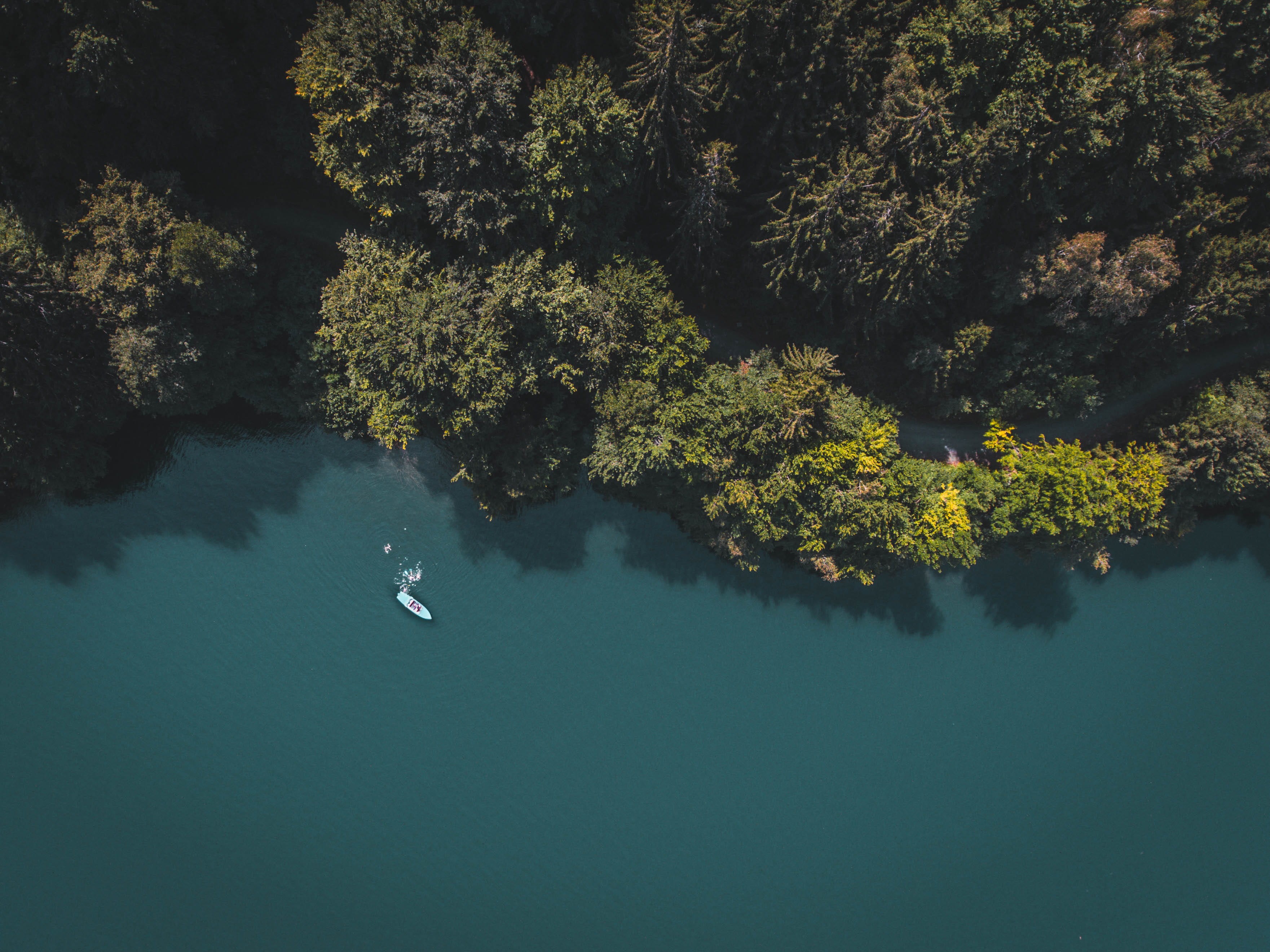 eyeview, nautical vessel, boat, photography, body, path, way, tree, s, tranquility, 2K, woodland, bird, waterfront, nature, outdoors, tranquil scene, shadow, HD Wallpaper