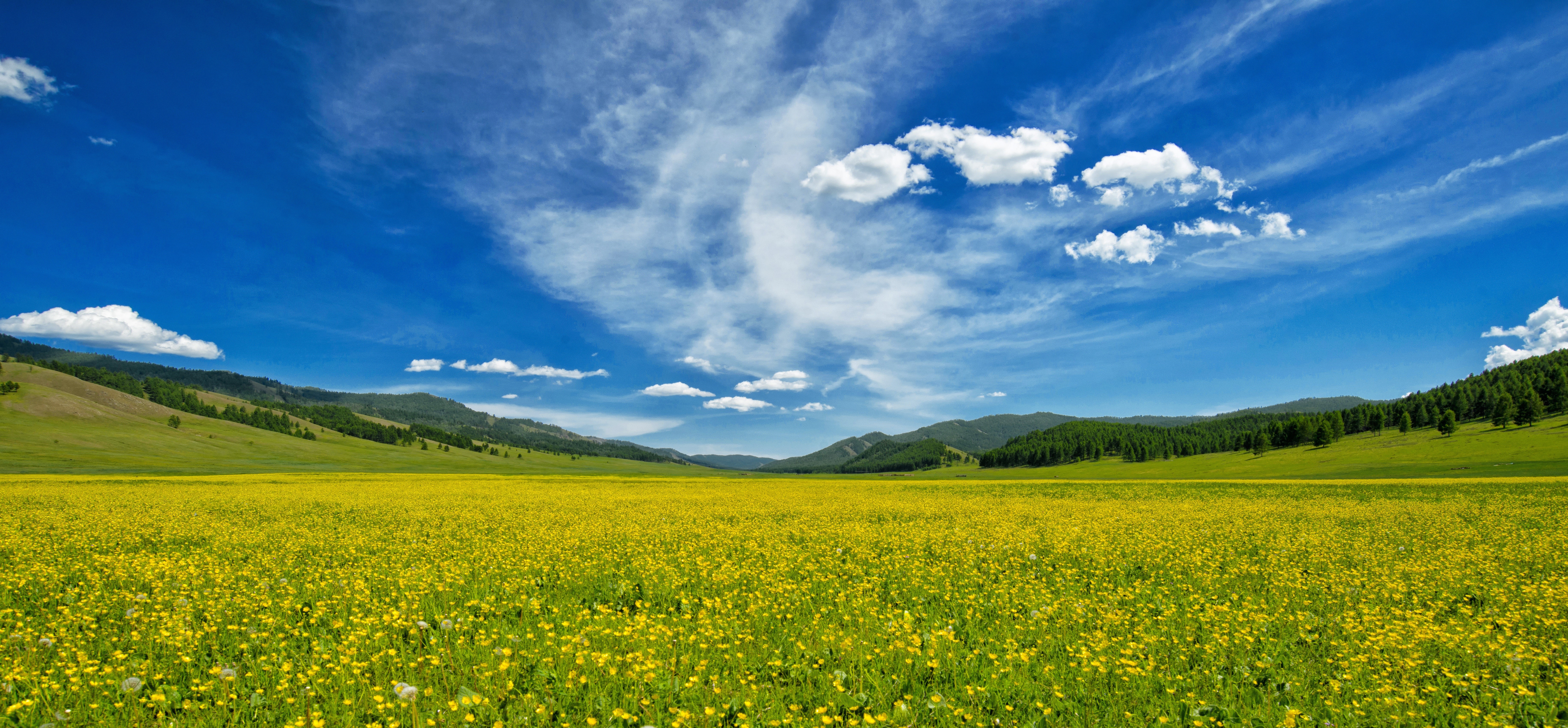 tranquil scene, summer, green Color, mountain, environment, meadow, landscape, scenics, buttercup, no people, grass, outdoors, agriculture, oilseed Rape, HD Wallpaper
