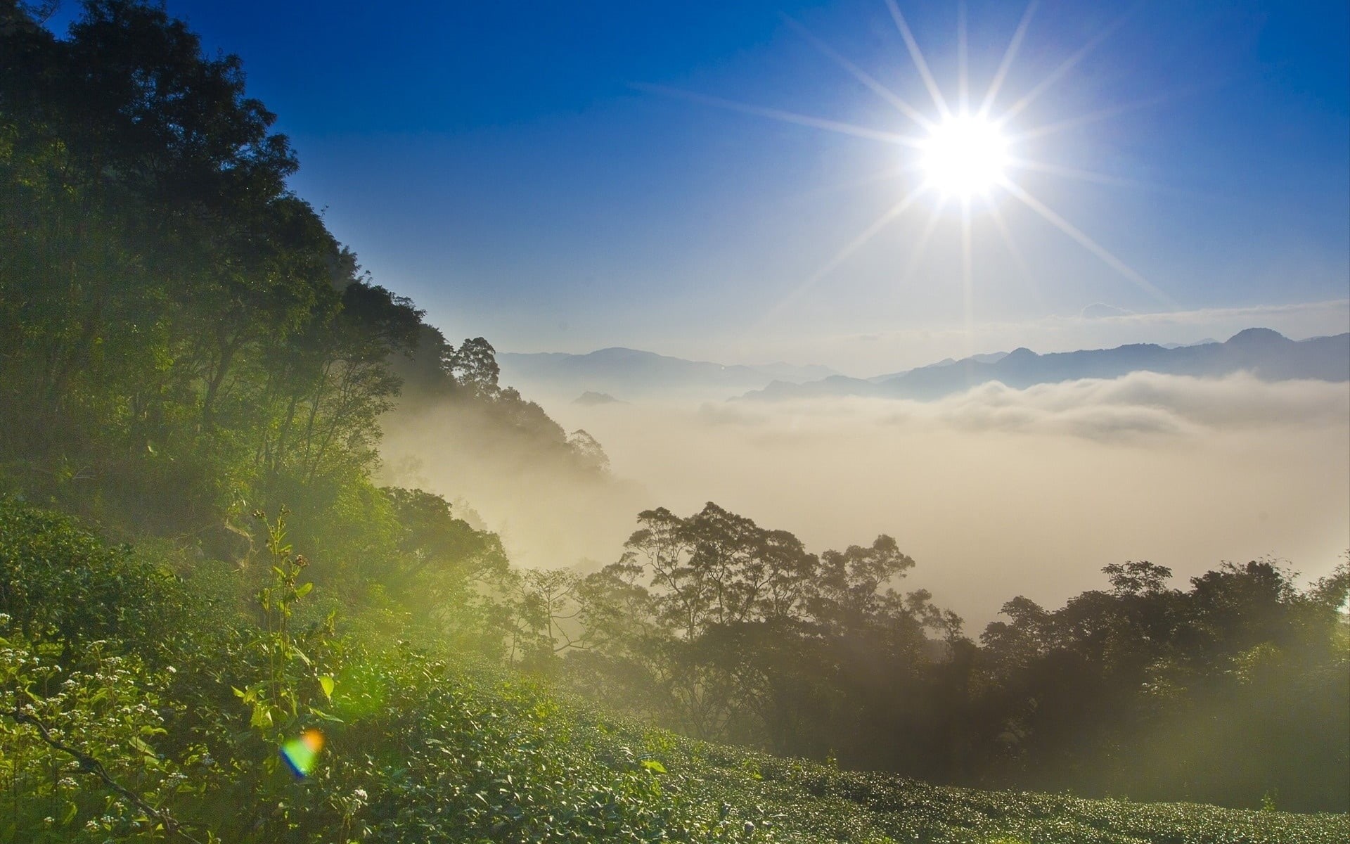 asia, sunset, hill, summer, light - Natural Phenomenon, green, landscape, fog, blue, mist, tree, travel, meadow, sunrise - Dawn, sun, rural Scene, patches of light, HD Wallpaper
